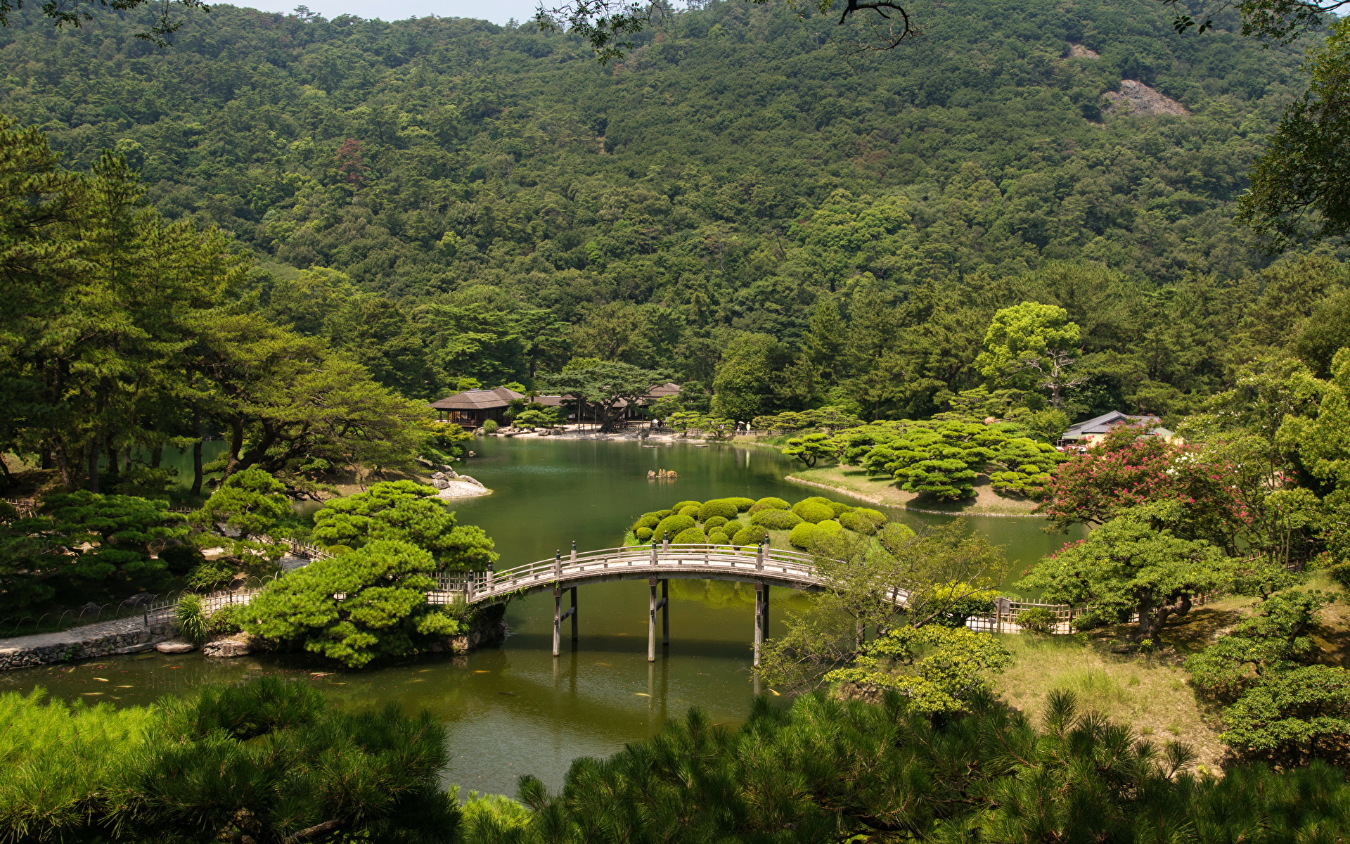 壁紙 19x10 風景写真 日本 ガーデン 川 橋 Takamatsu Ritsurin Garden 木 自然 ダウンロード 写真