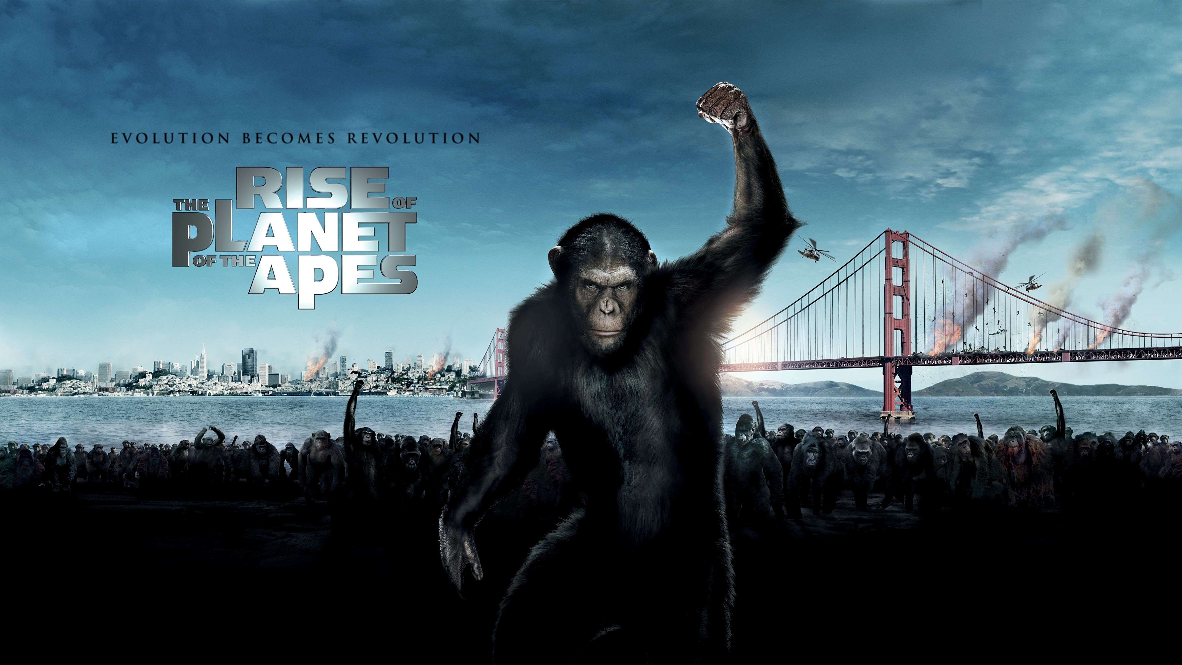 Нашествие обезьян. Восстание планеты обезьян. Восстание планеты обезьян 2011.