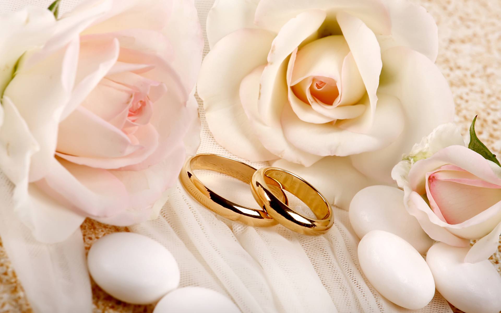 Achtergrond Rozen Ring bloem 1920x1200 roos Bloemen sieraden ring