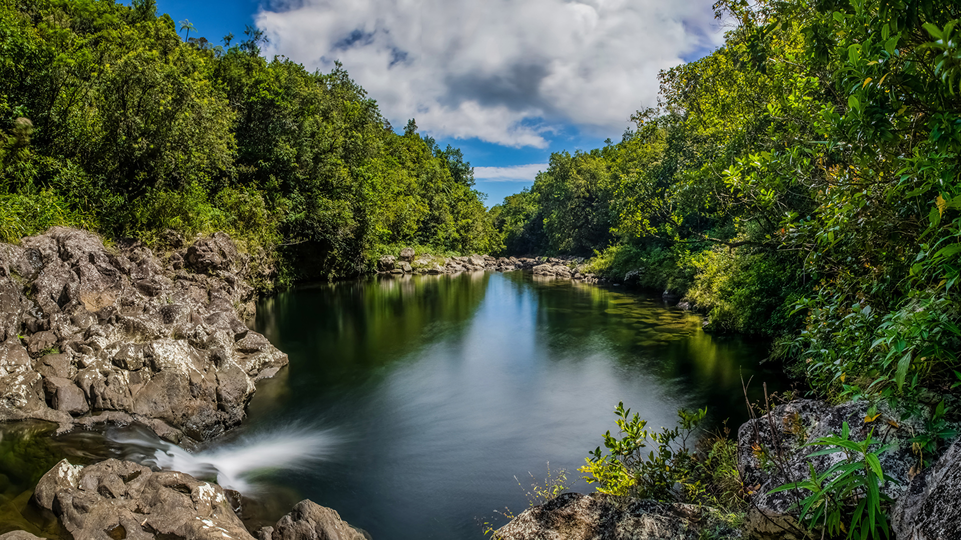 Desktop Wallpapers France Bras-Panon Reunion Nature forest 1920x1080