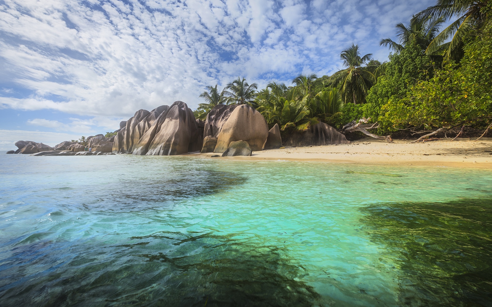 Photos Thailand Phuket Nature Island Tropics palm trees 1920x1200