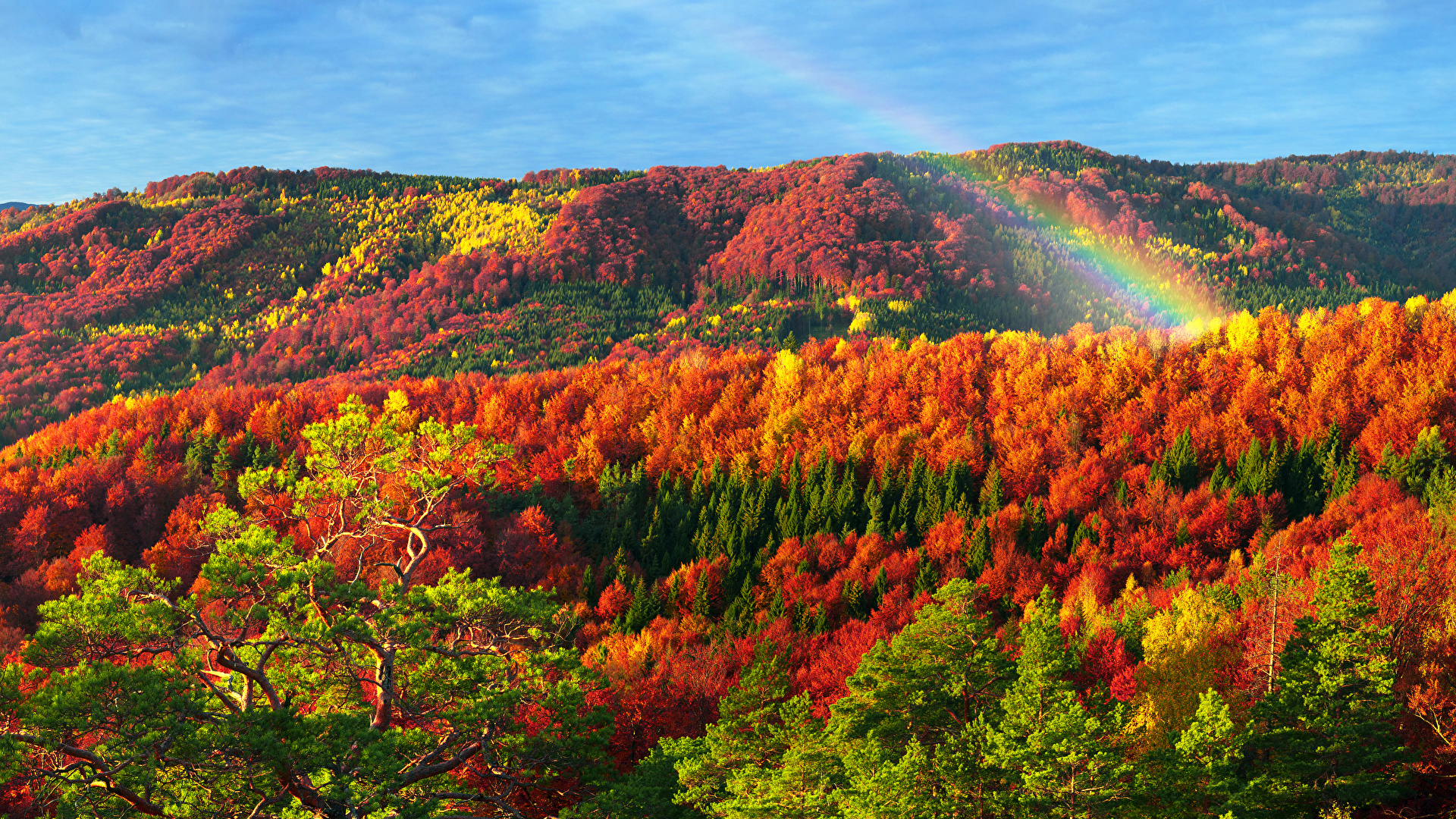 Fotos Von Karpaten Transkarpatien Ukraine Natur Herbst 19x1080