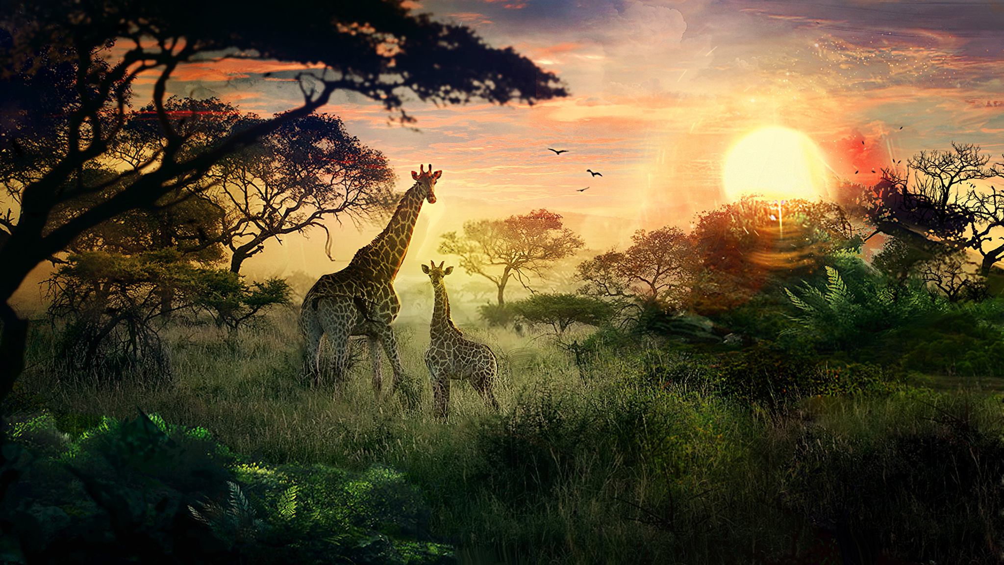 Джунгли документальные. Природа Африки. Африка пейзаж. Природа джунгли. Саванна пейзаж.