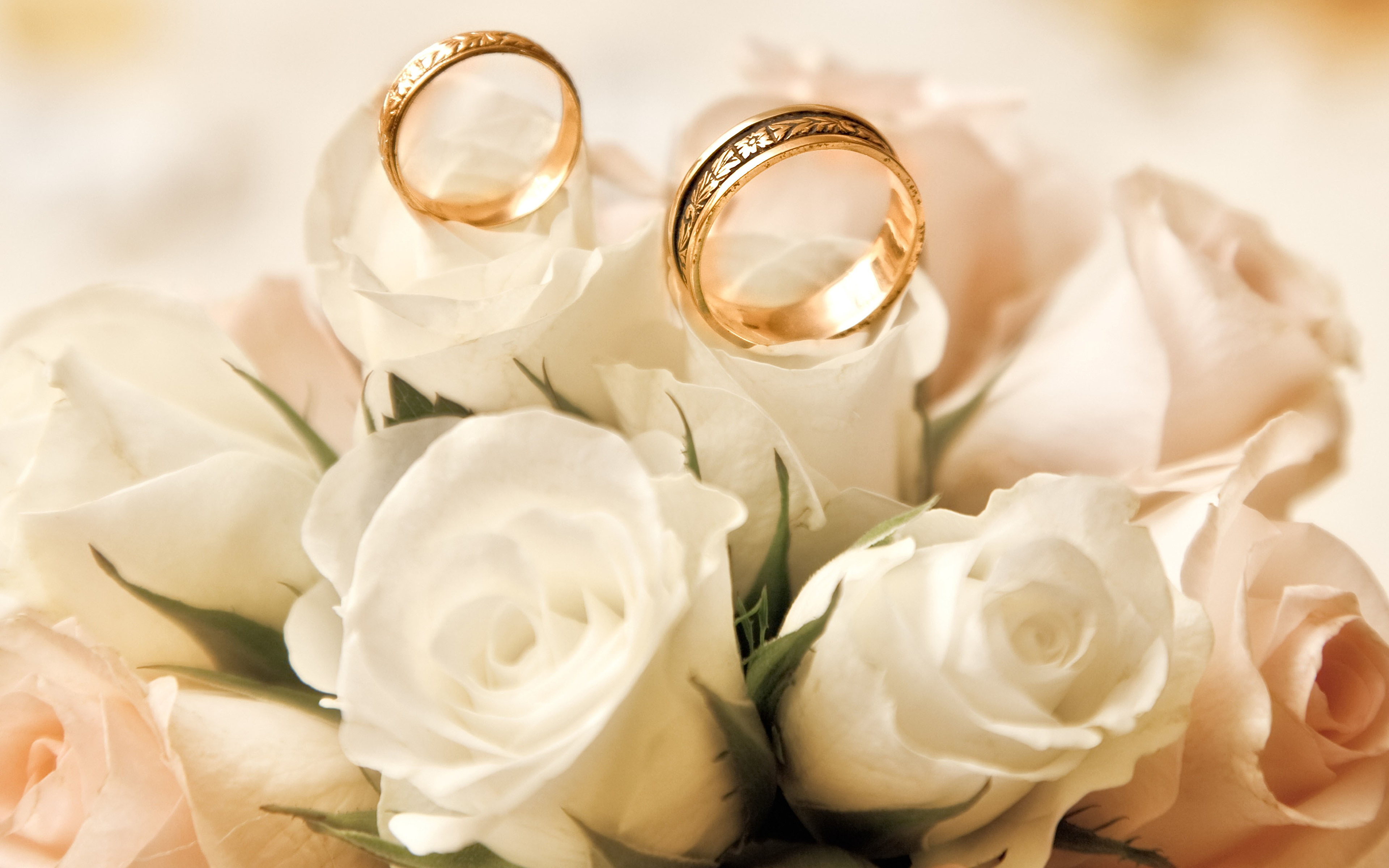壁紙 3840x2400 バラ ブーケ 白 指輪 結婚式 花 ダウンロード
