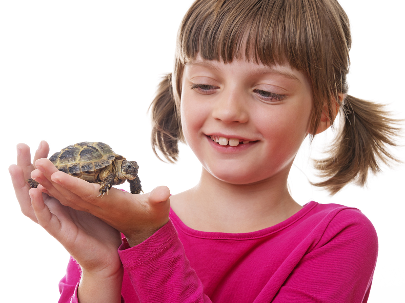 Малыш черепахи. Черепаха девочка. Черепаха для детей. Человек черепашка девочка. Черепаха и рука девочек.