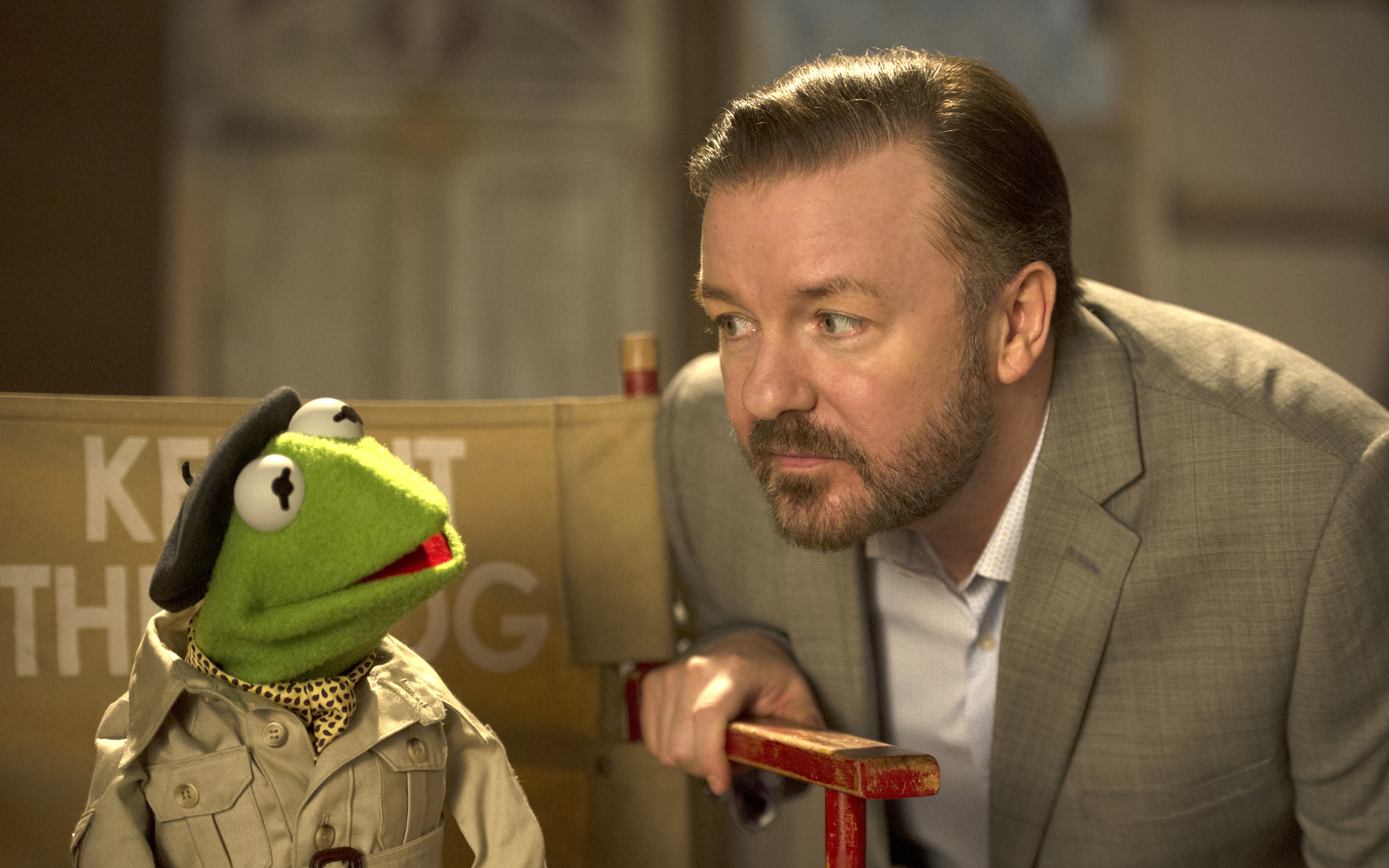 壁紙 3840x2400 男性 Muppets Most Wanted Ricky Gervais Kermit 人形 髭 口ひげ 映画 有名人 ダウンロード 写真