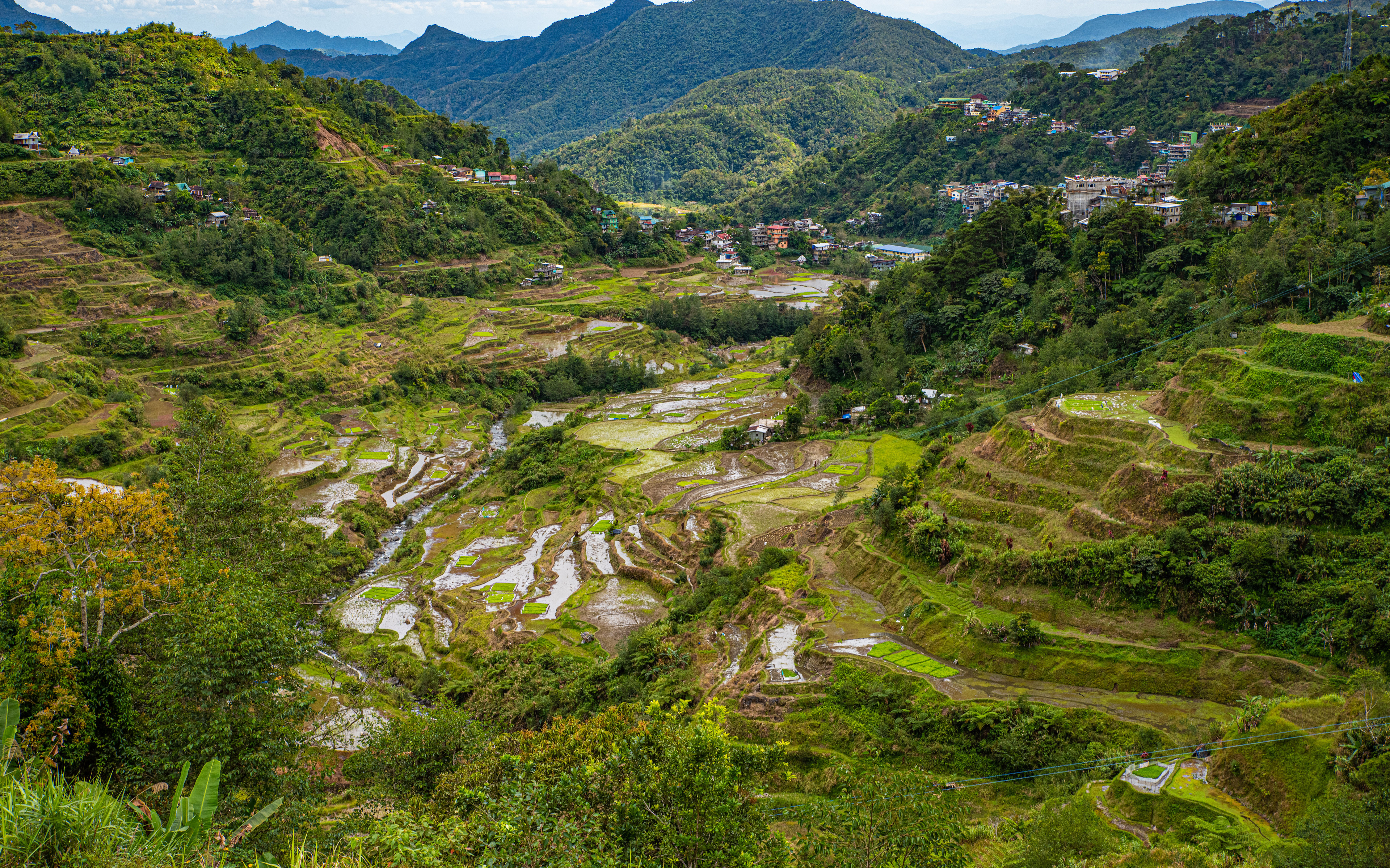 壁紙 3840x2400 フィリピン 山 畑 Banaue Rice Terraces Ifugao 木 自然 ダウンロード 写真