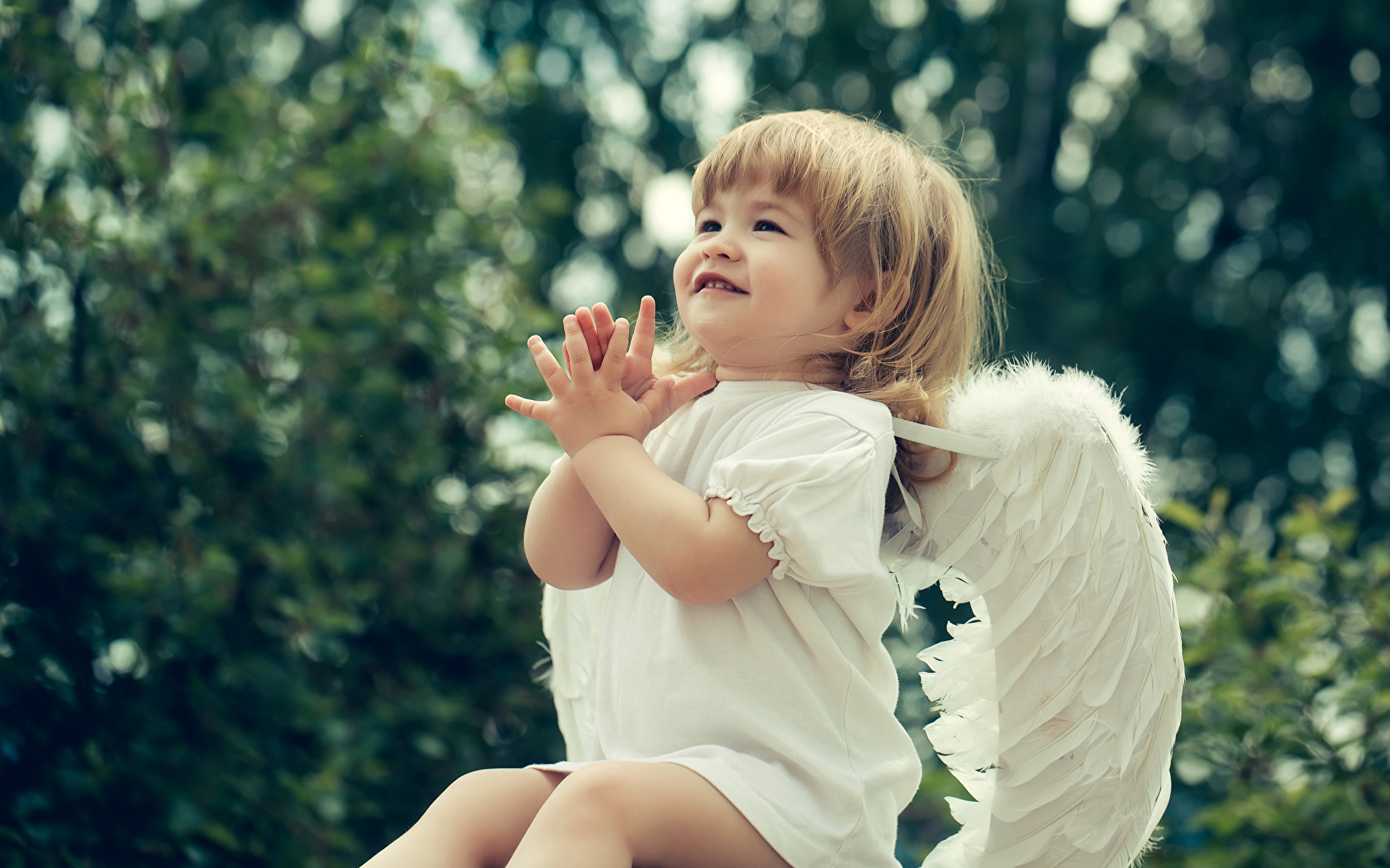 Images Little girls Wings Children Angels Hands 1920x1200