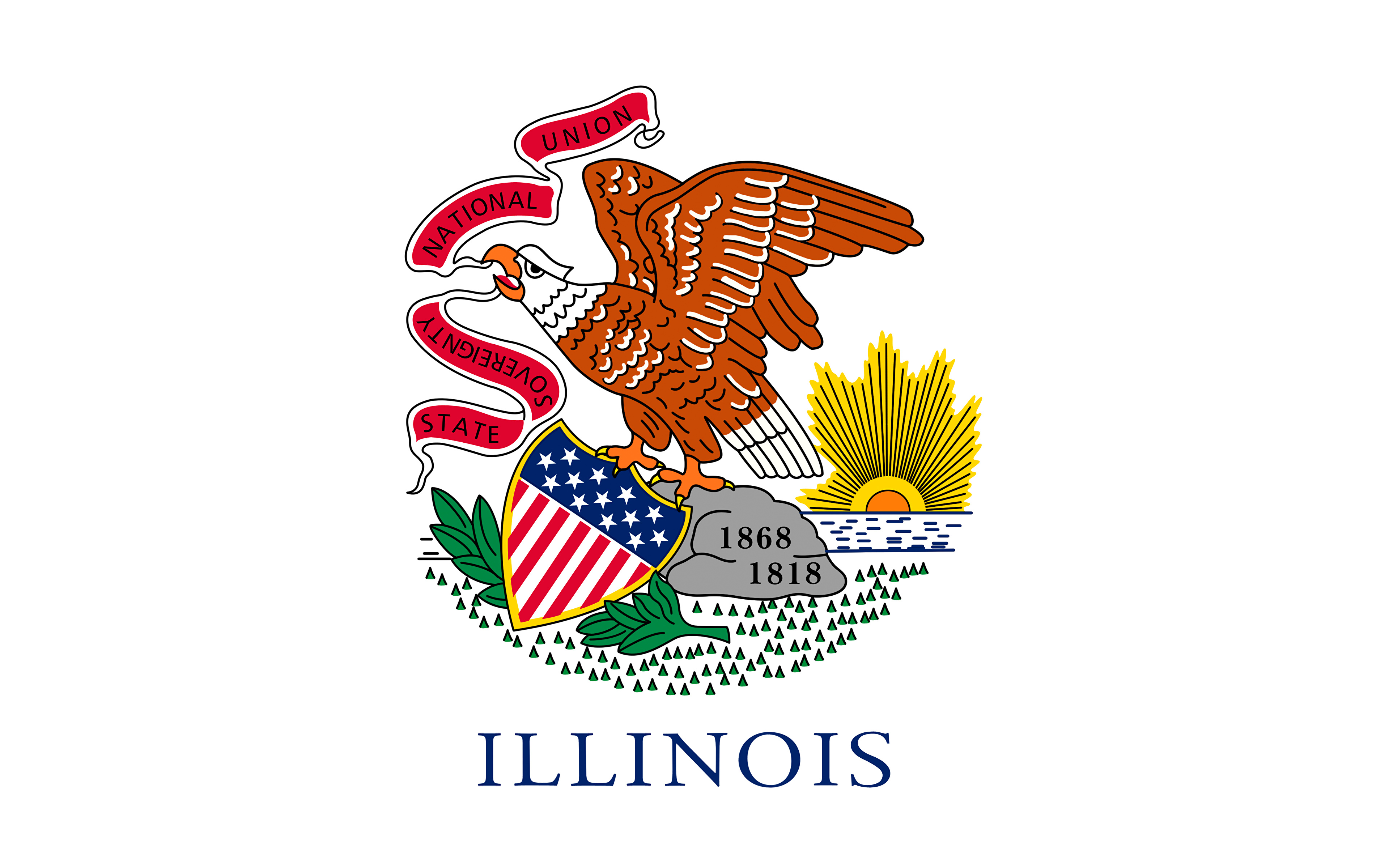 Photos eagle USA Illinois Flag 3840x2400