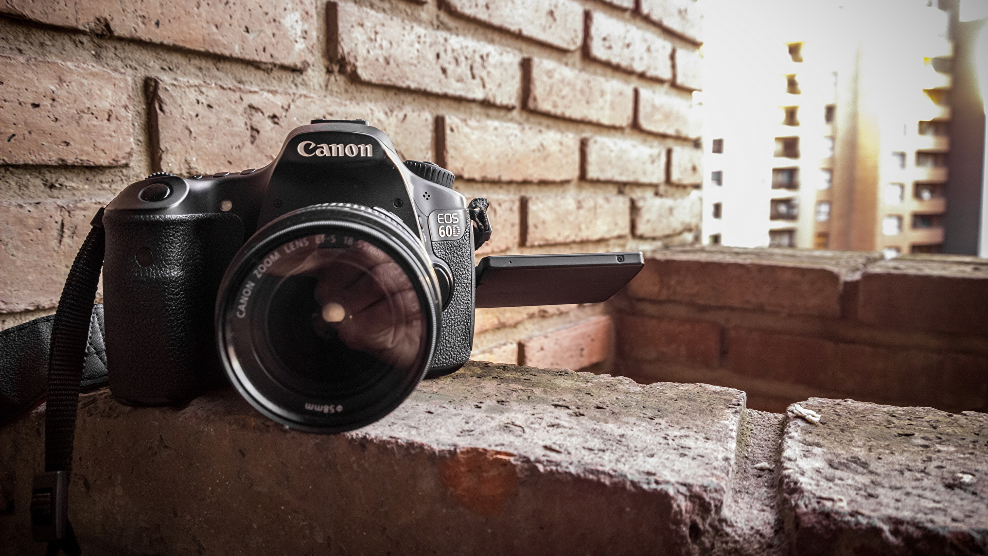 Canon, camera, nikhil, nikhilshetty, HD phone wallpaper | Peakpx