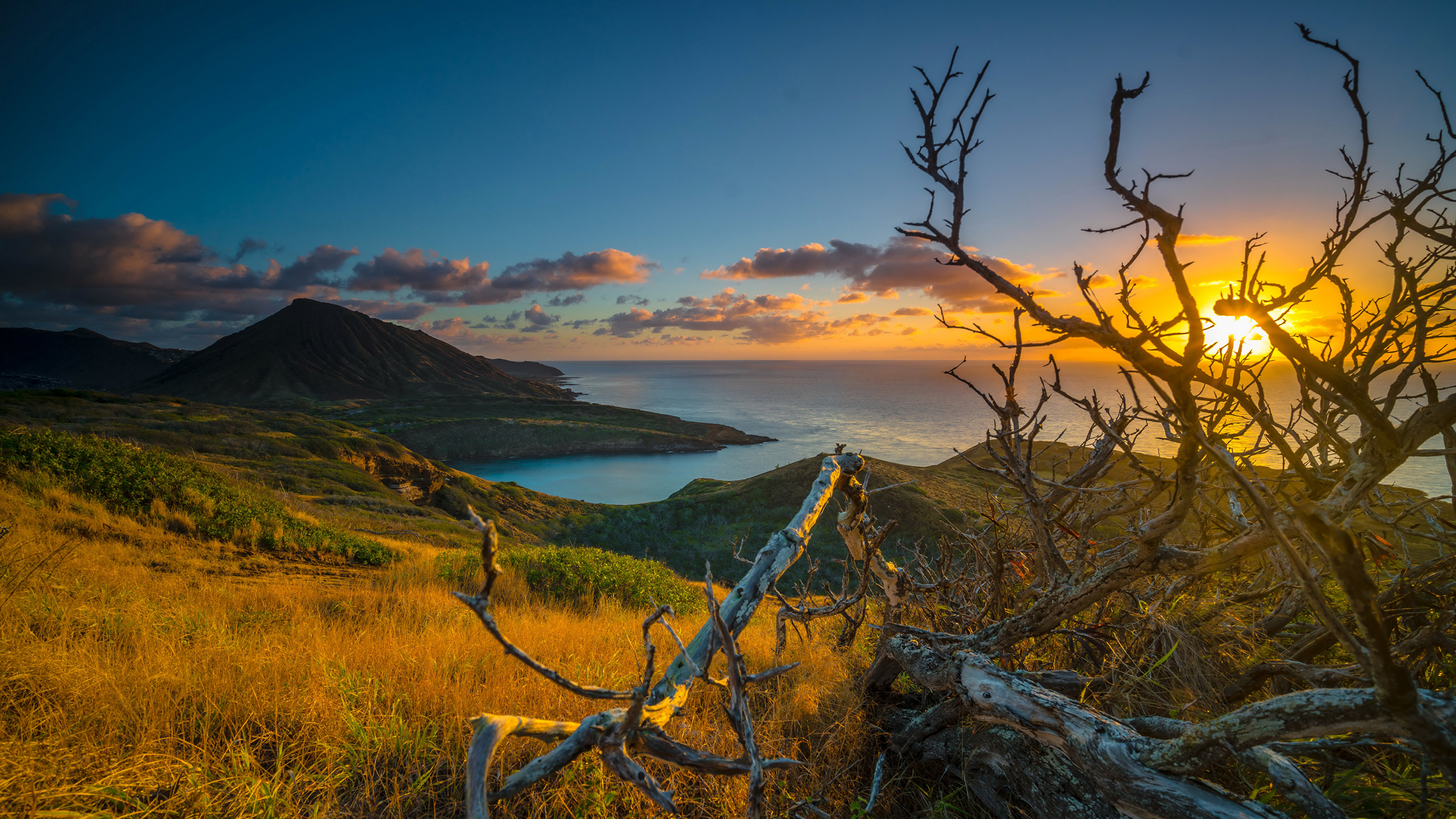 壁紙 3840x2160 熱帯 朝焼けと日没 海岸 風景写真 ハワイ州 枝 雲 丘 自然 ダウンロード 写真