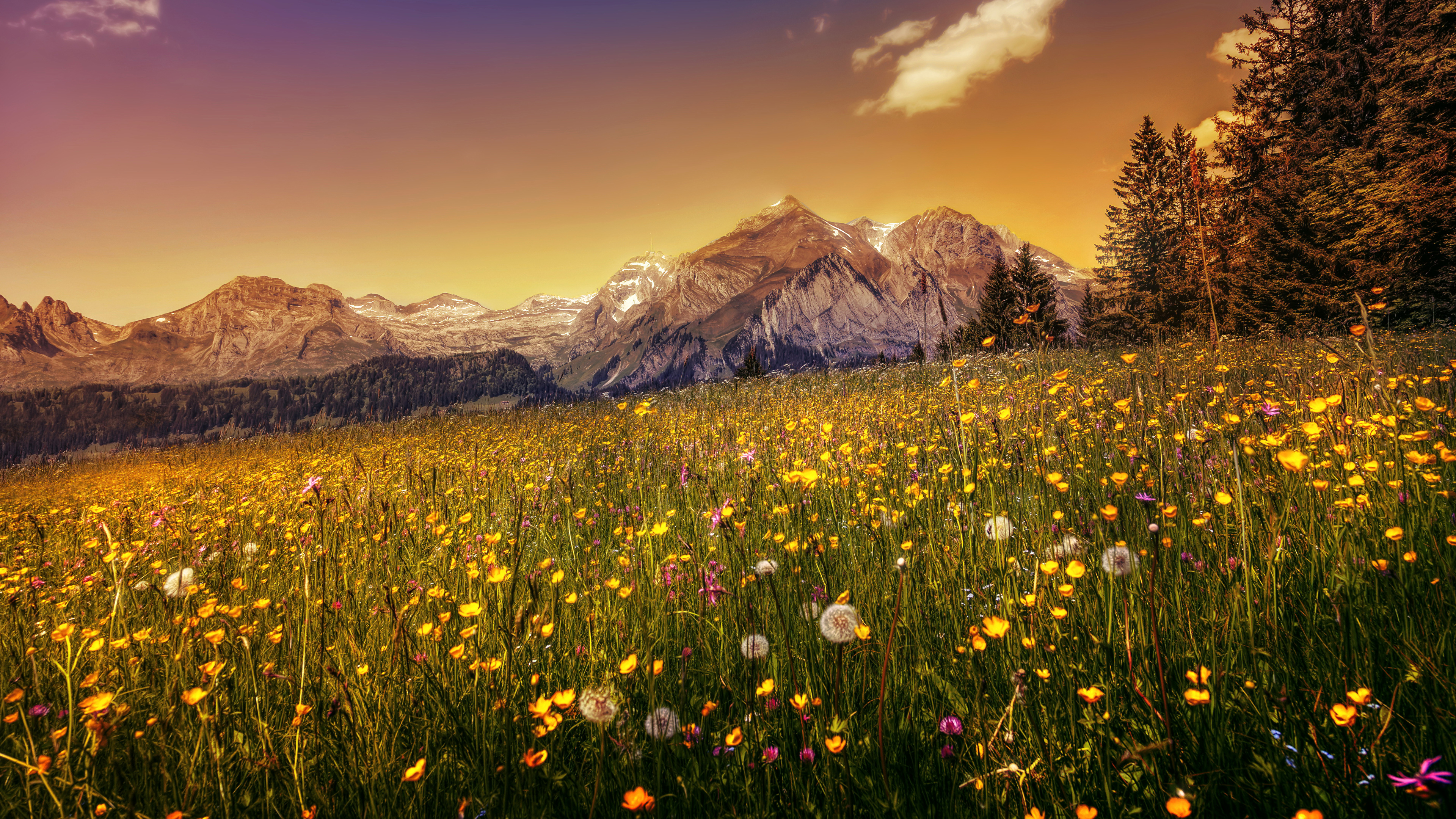 壁紙 3840x2160 スイス 山 タンポポ 風景写真 草原 ハイダイナミックレンジ合成 アルプス山脈 自然 ダウンロード 写真