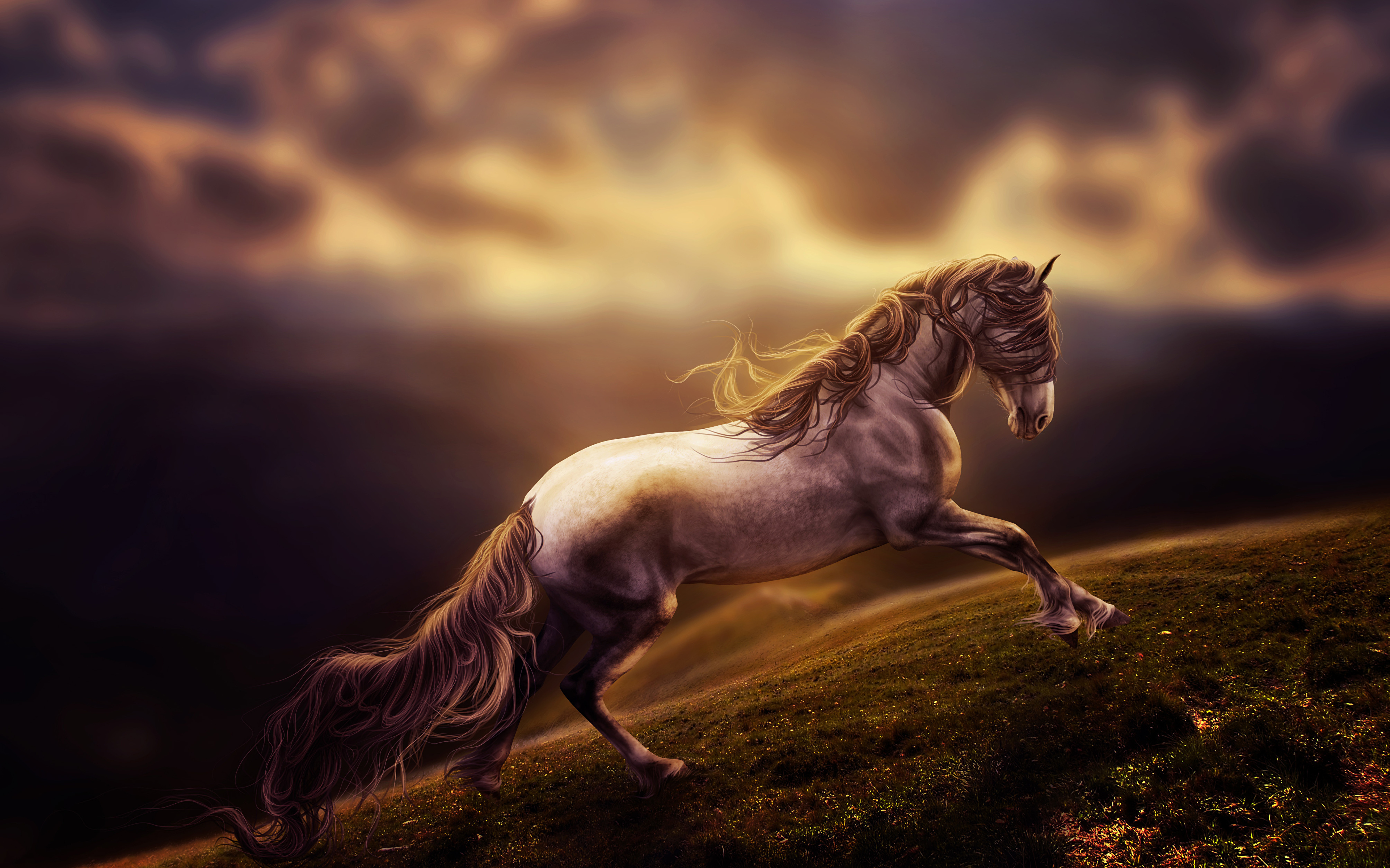 Immagine Cavallo Corsa Animali 3840x2400 che corre animale