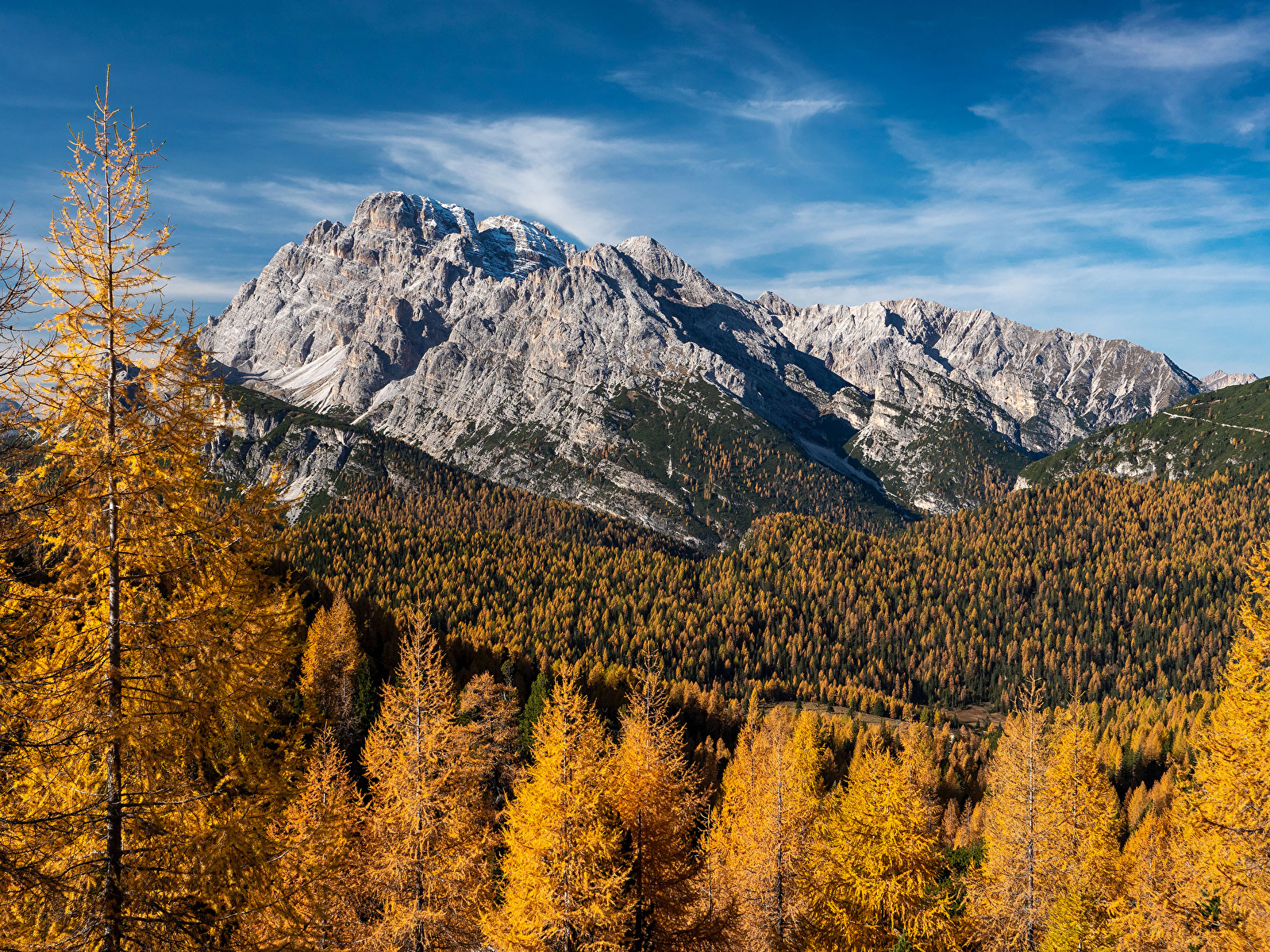 Photos Alps Germany Autumn Nature Mountains Forests Moss 1600x1200