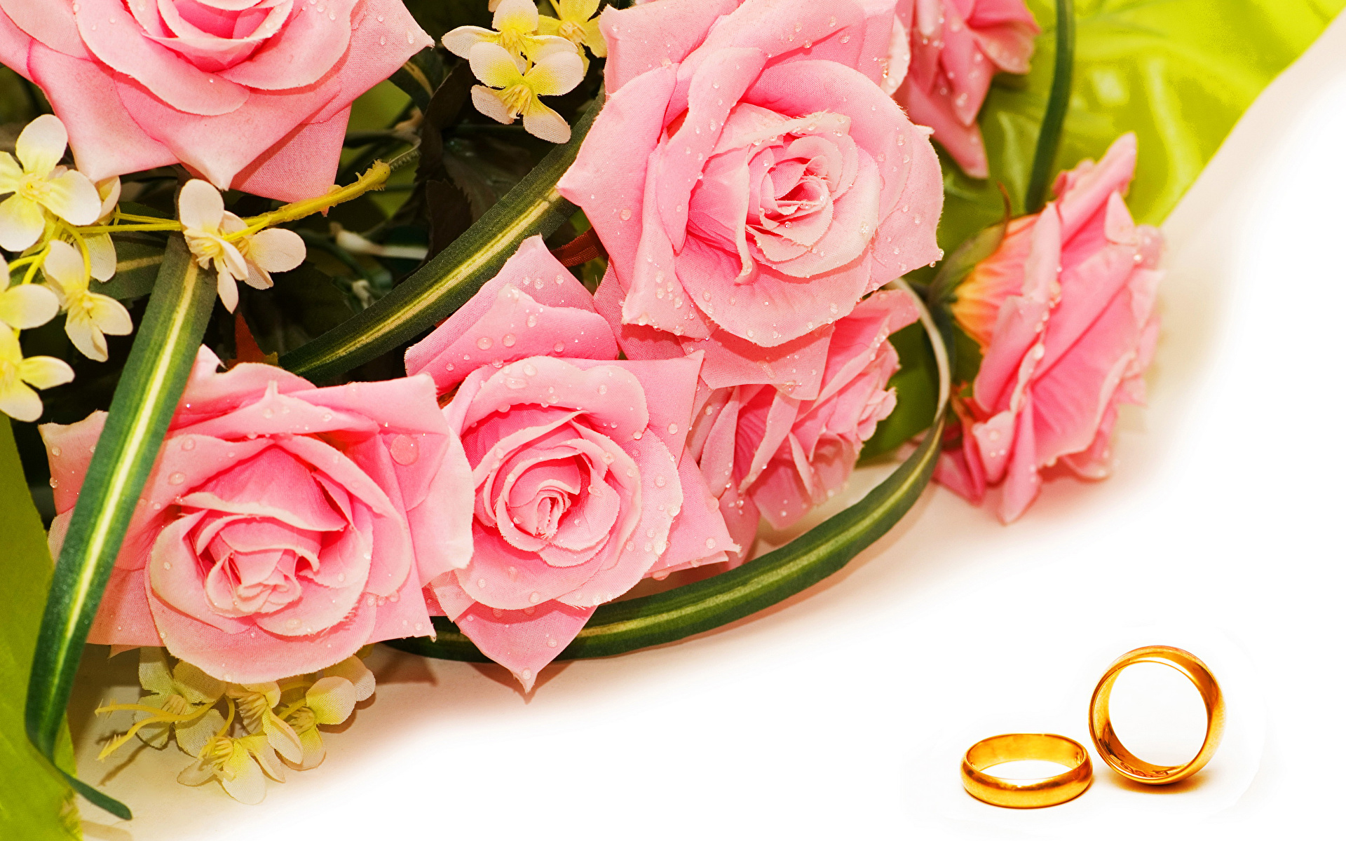 Foto's roos Roze kleur Ring Bloemen 1920x1200 Rozen bloem sieraden ring
