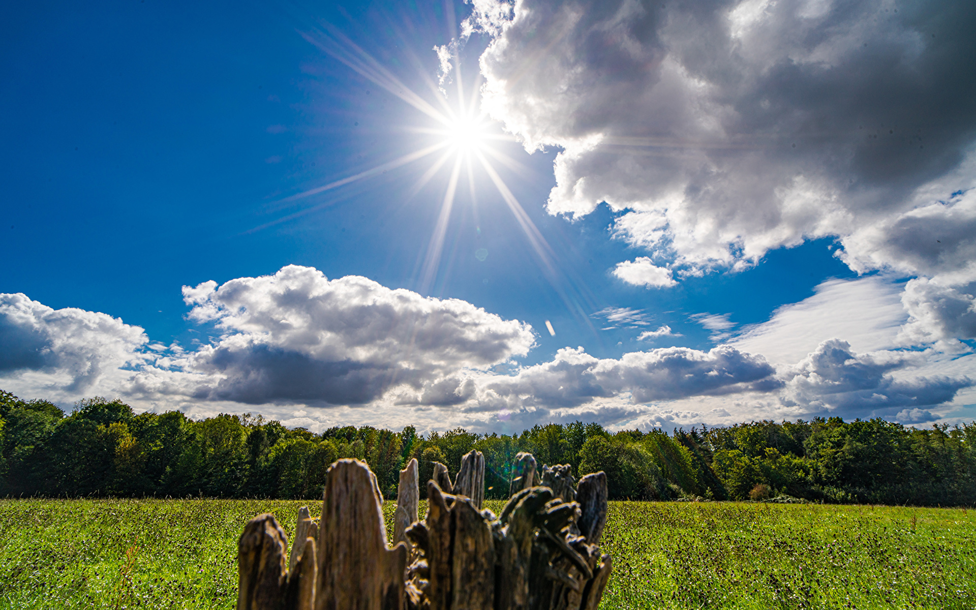 Bilder Deutschland Sonne Natur Felder Baumstumpf Wolke 1920x1200 Acker
