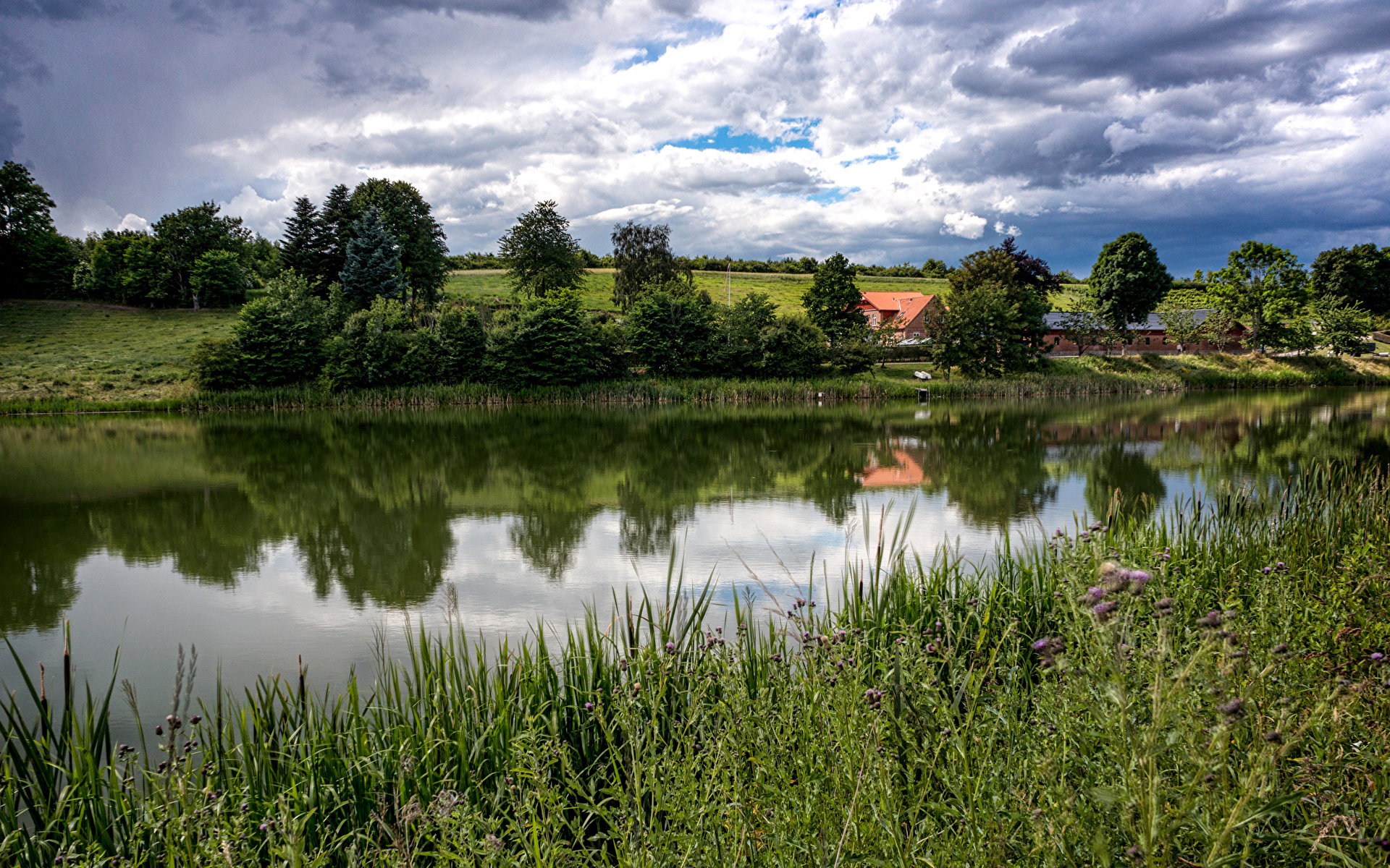 Photos Denmark Langa Midtjylland Summer Nature landscape 1920x1200