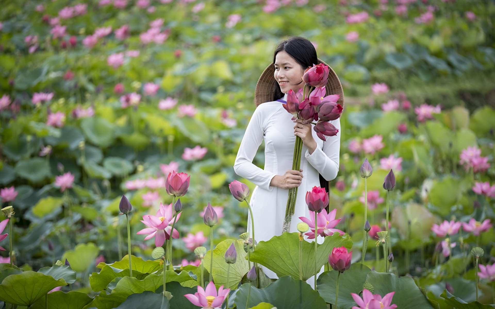 Hoa sen là một trong những loài hoa có ý nghĩa lớn trong văn hoá và tôn giáo Việt Nam. Không chỉ có tác dụng trong việc cải thiện sức khỏe, hoa sen còn mang lại thông điệp của tình yêu và sự thanh tịnh. Hãy xem các hình ảnh đẹp liên quan đến hoa sen để cảm nhận sự tinh tế và độc đáo của loài hoa này.