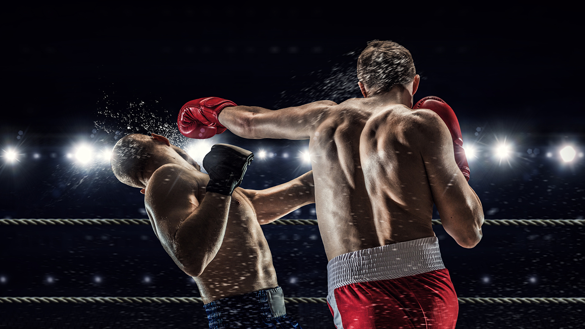 Desktop Wallpapers Men to beat Human back Two Sport Boxing 1920x1080