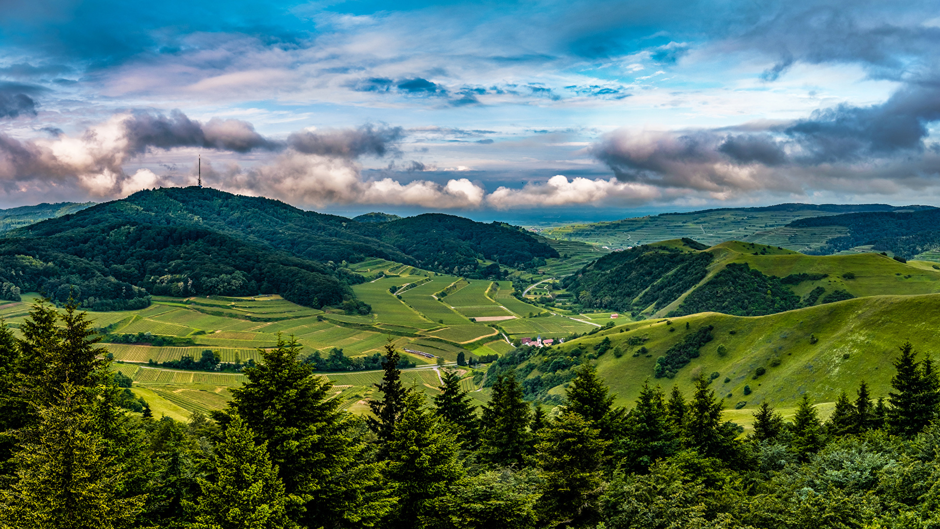 Wallpaper Germany Kaiserstuhl Hills Nature Spruce 1920x1080