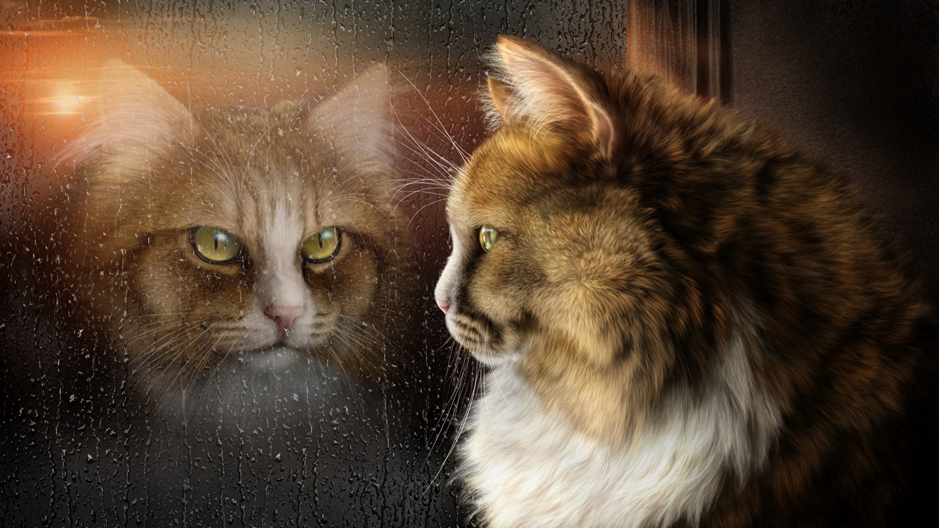 Foto Katzen Fantasy Glas Fenster ein Tier 1920x1080