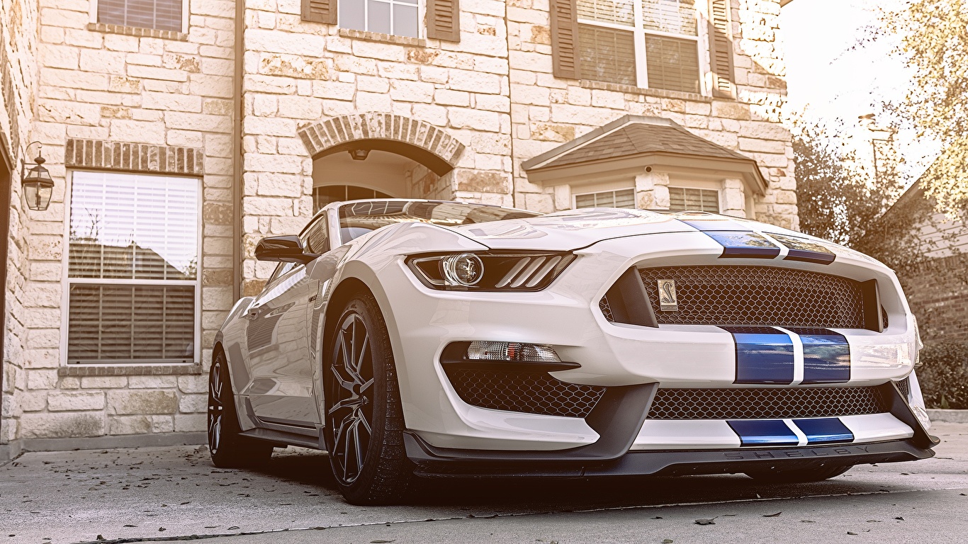 Desktop Wallpapers Ford Mustang GT350 White Cars 1366x768