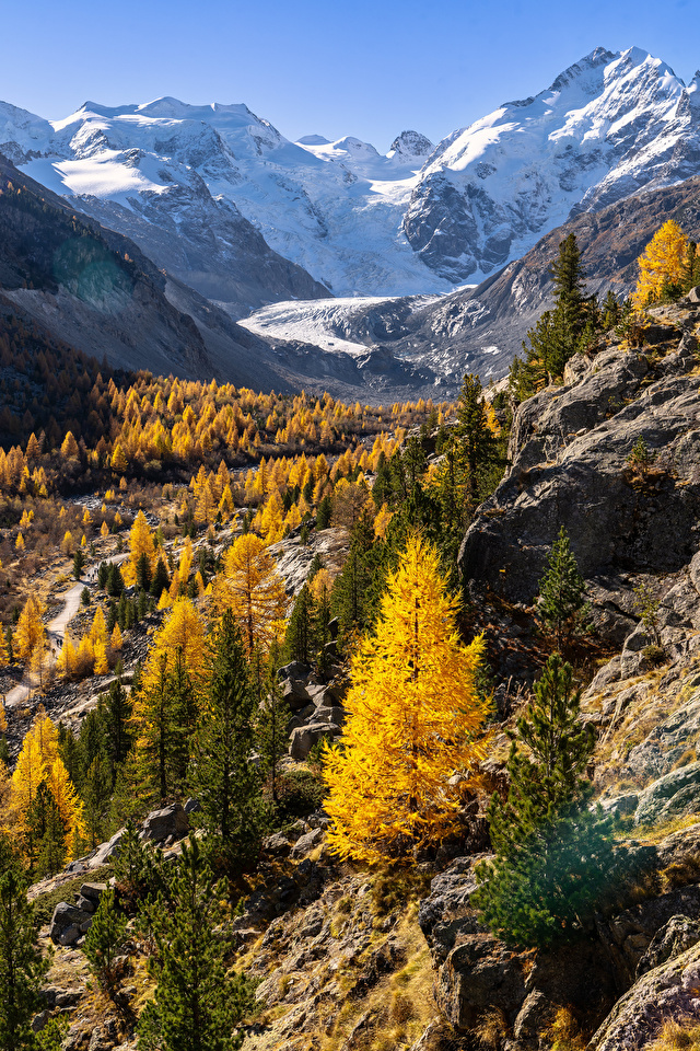 Pictures Alps Switzerland Nature Autumn Mountains Landscape 640x960   Switzerland Mountains Autumn Scenery Alps 617123 640x960 