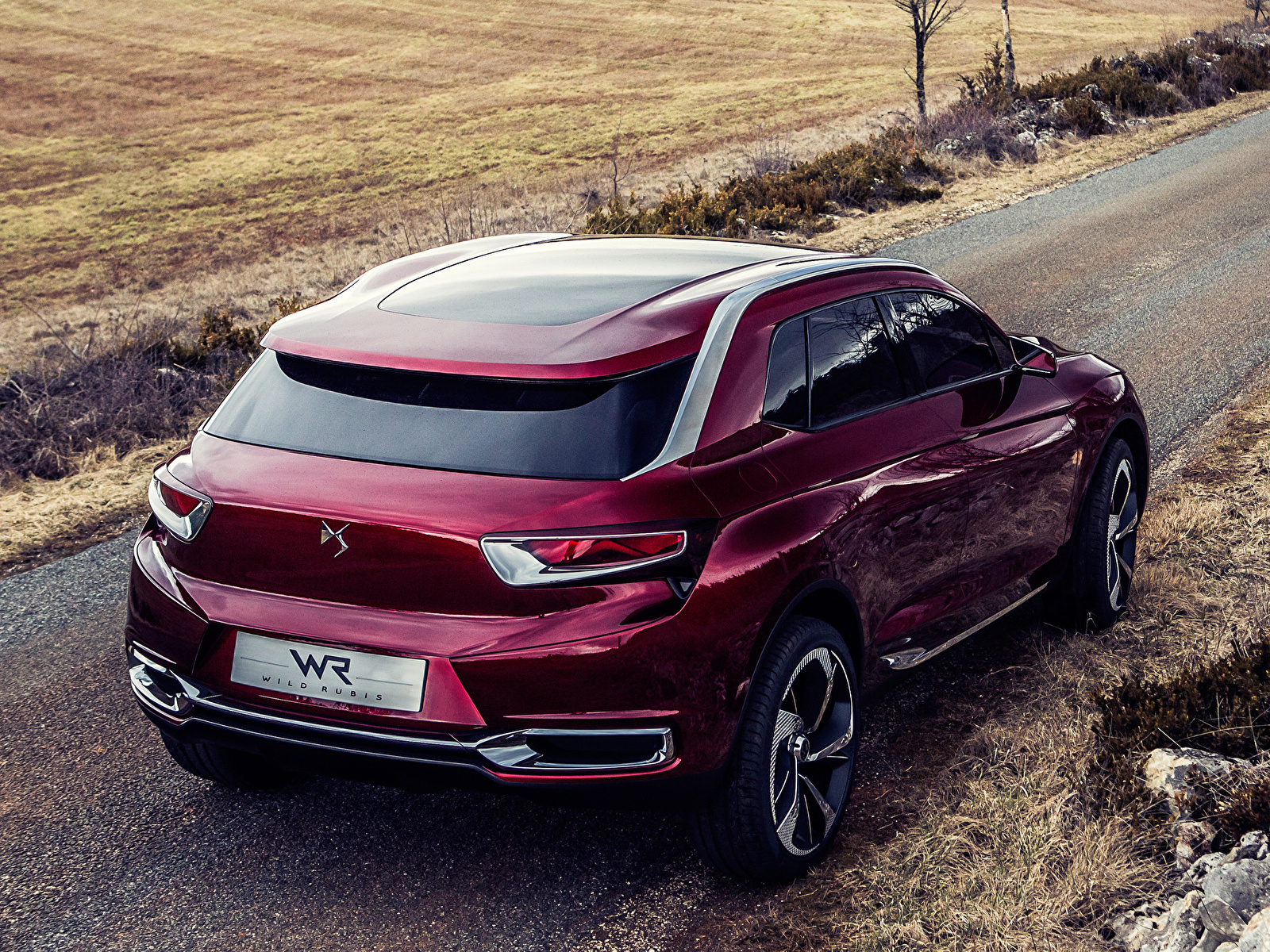 Фото Citroen DS Wild Rubis Concept бордовая авто Сзади 1600x1200