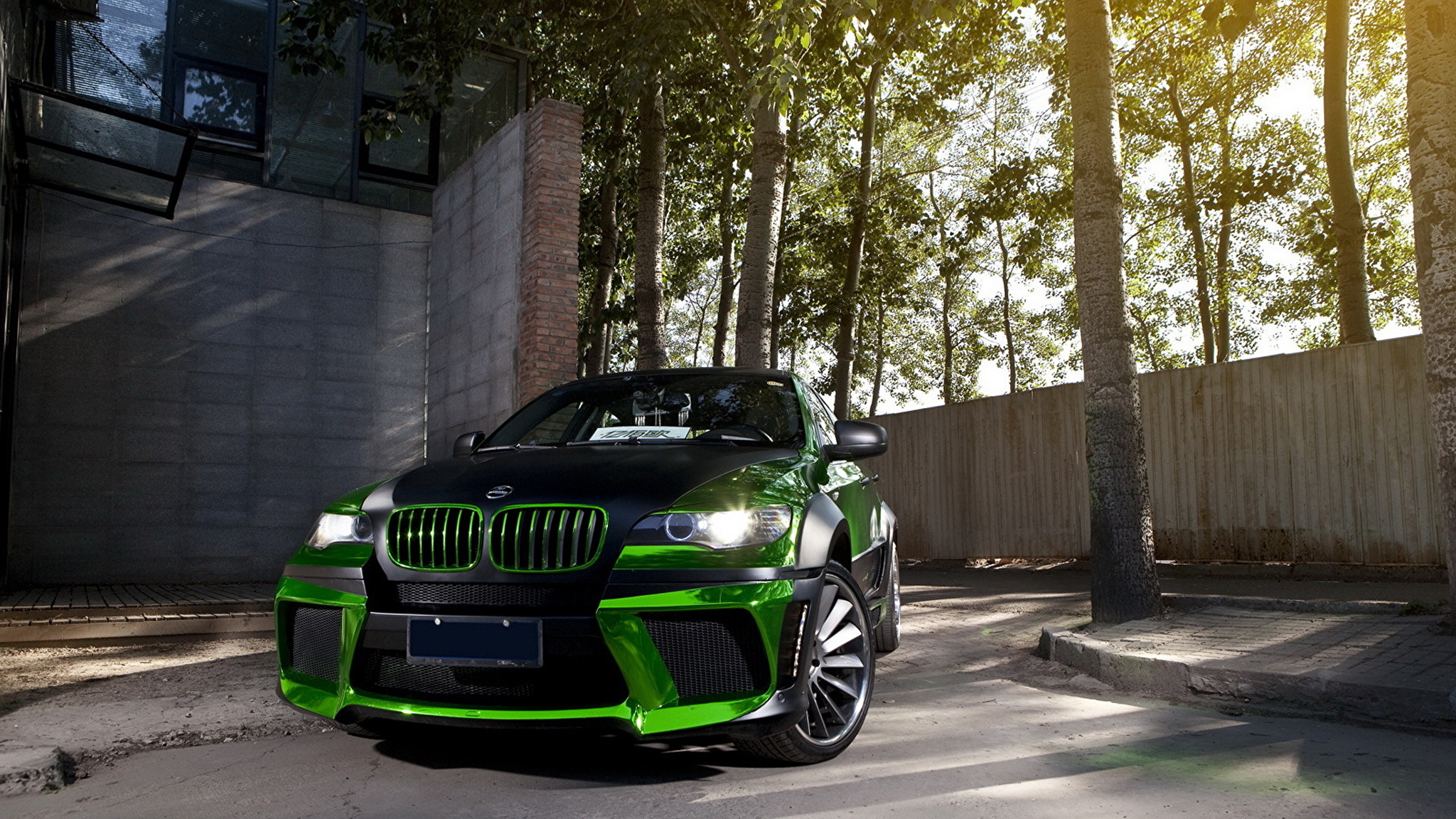 Find x6 ultra. BMW x6m Green. БМВ x6 зеленый. БМВ х7 зеленый. БМВ Икс 7 зеленый.