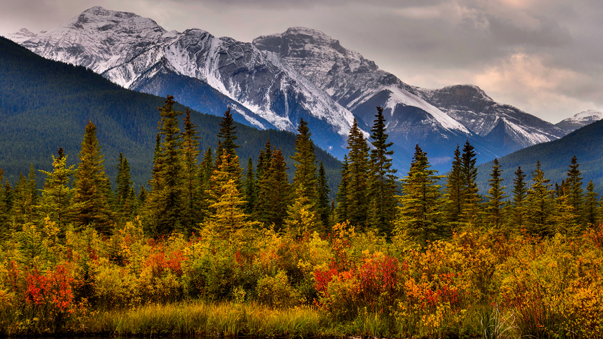 Fotos Banff Kanada Berg Natur Herbst Fichten Park Walder 19x1080