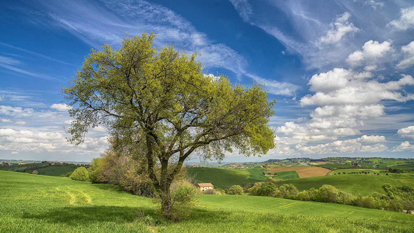 Fondos De Pantalla 1366x768 Cielo Herbazal Campos Italia árboles Hierba Nube Naturaleza 6852