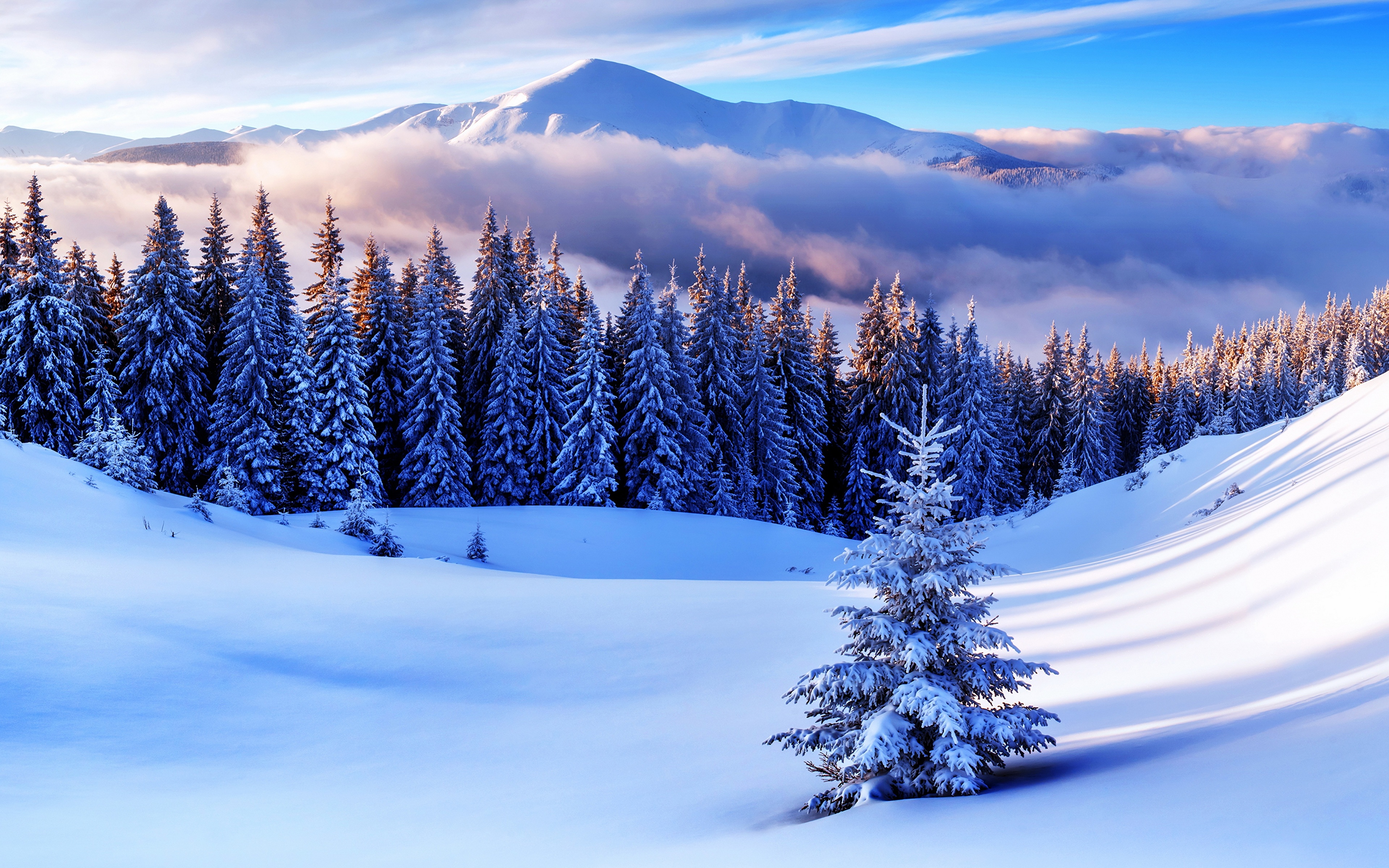 Winter Scenery Nail Design - wide 2