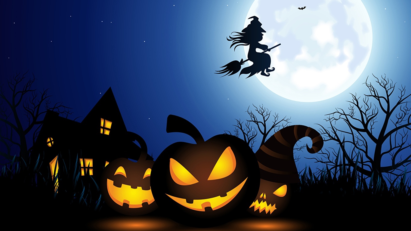 Desktop Wallpapers Witch Silhouette Pumpkin Halloween Moon 1366x768