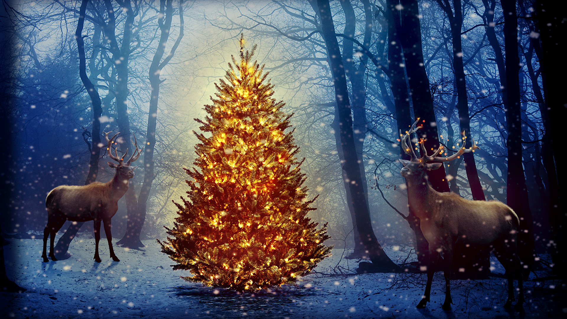 壁紙 19x1080 新年 シカ 森林 冬 クリスマスライト クリスマスツリー 雪の結晶 動物 自然 ダウンロード 写真