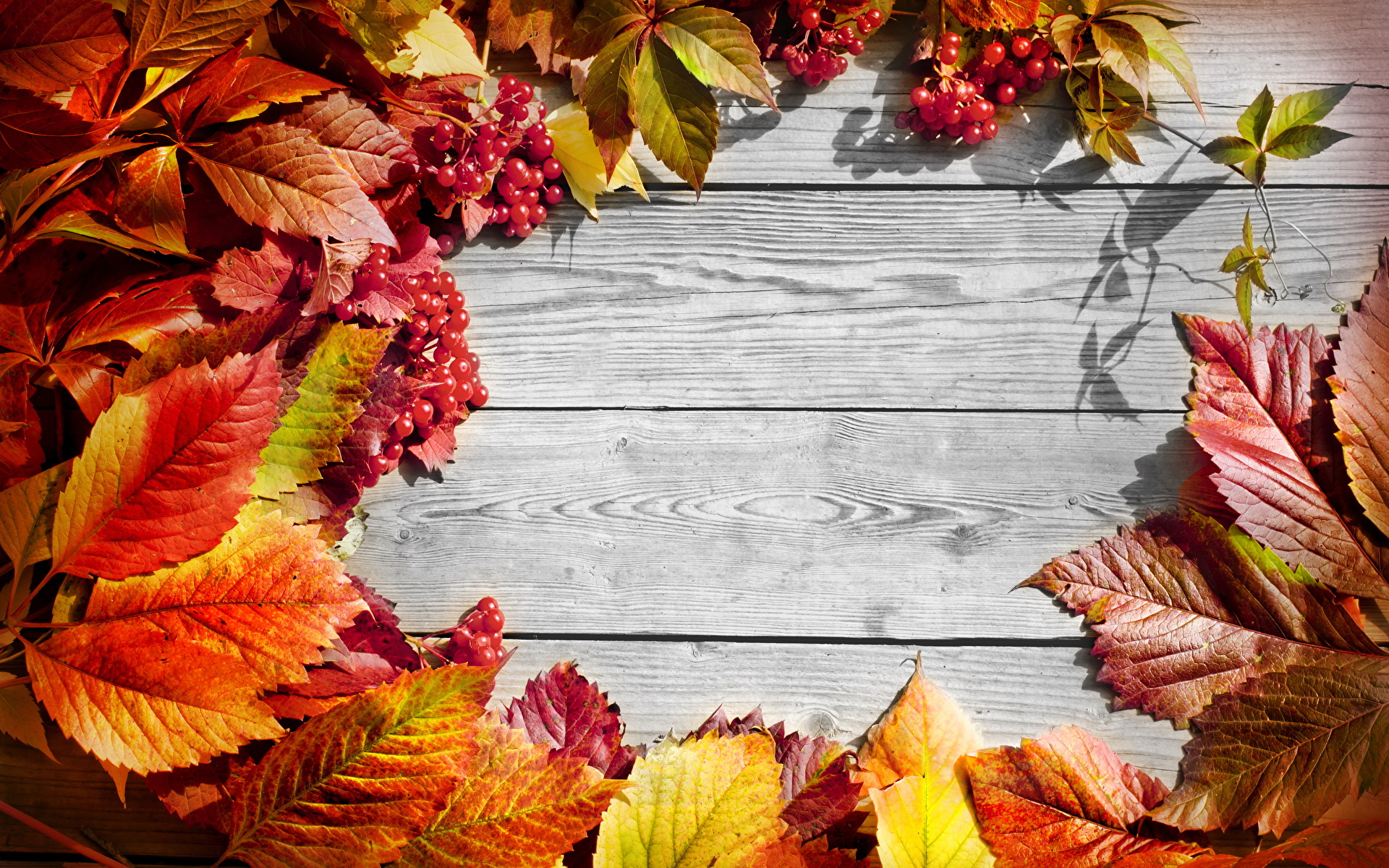 Desktop Wallpapers Leaf Autumn Template greeting card 1920x1200