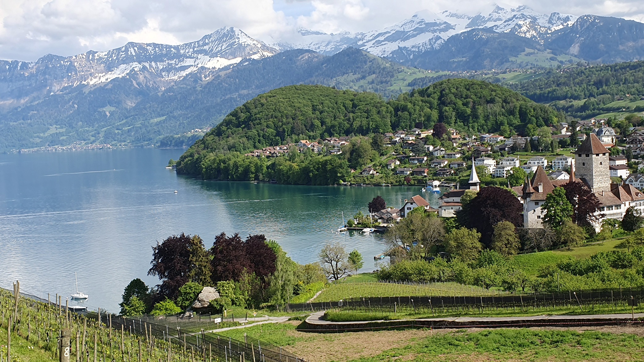 Фотография завода Swiss Lake