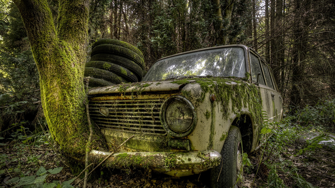 Picture Russian cars Forests Old Moss automobile 1366x768