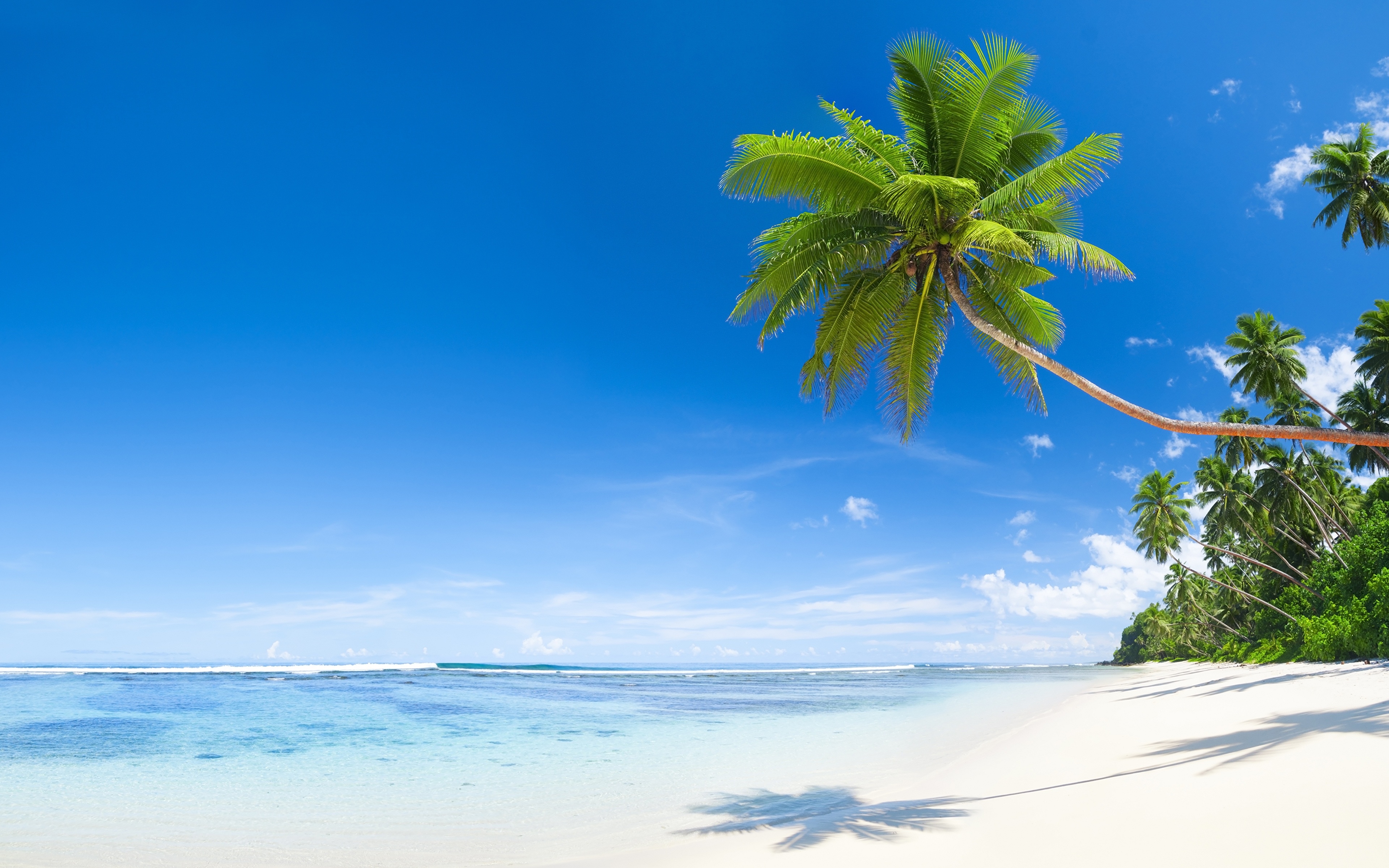 Wallpaper Beach Sea Nature Sky Tropics Palm Trees 3840x2400