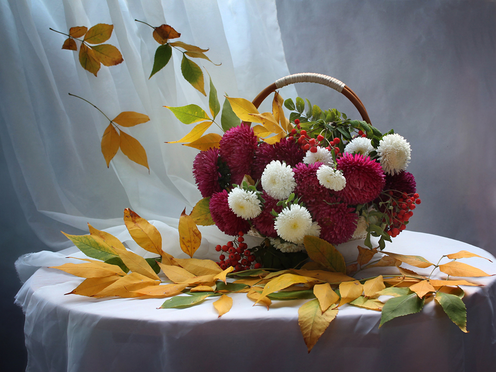 Image Leaf Sorbus Asters Flowers Wicker basket Table 1600x1200