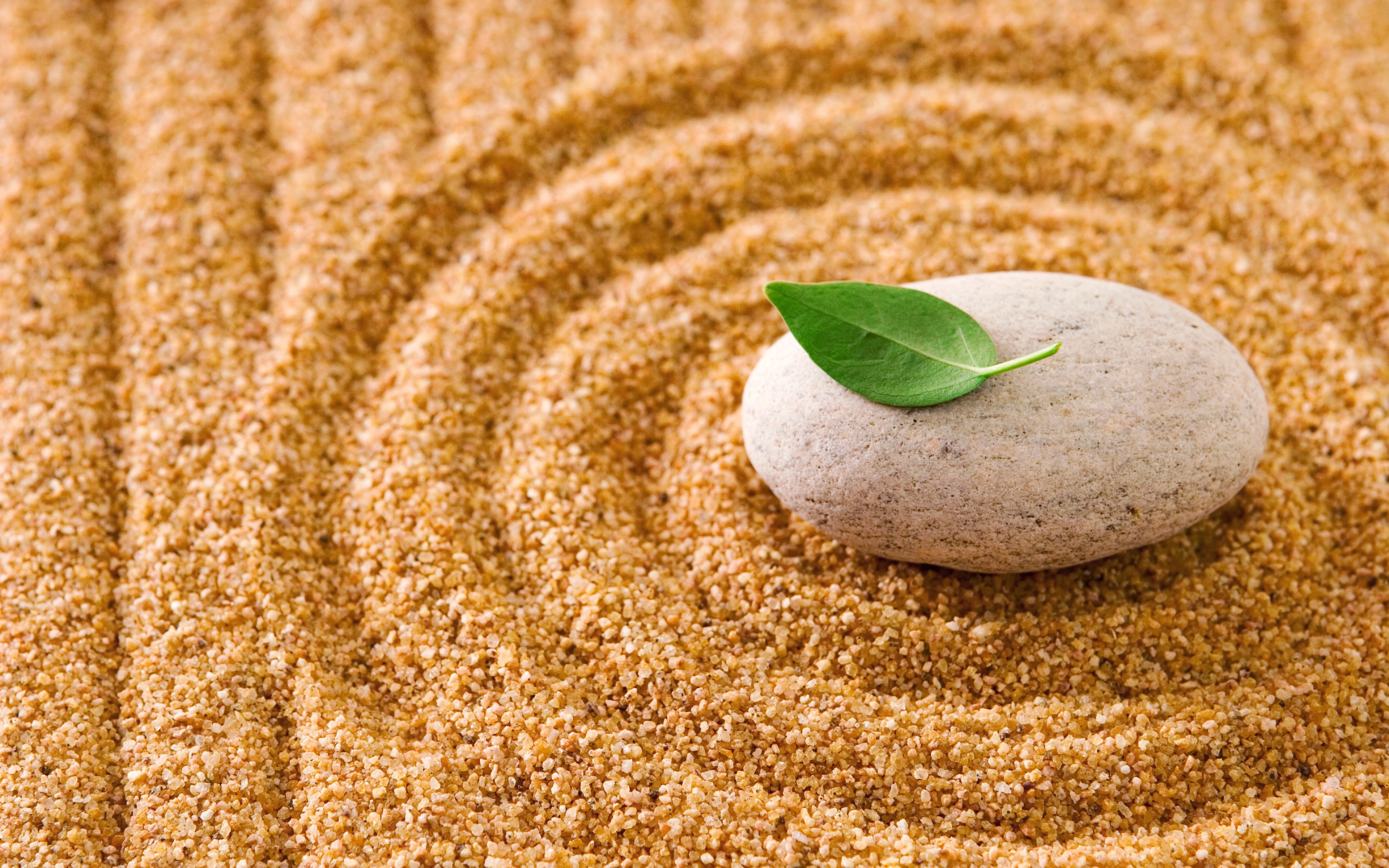 Стоун песок. Трава на песке. Песок и зелень. Камни на песке. Камни на песке сверху.