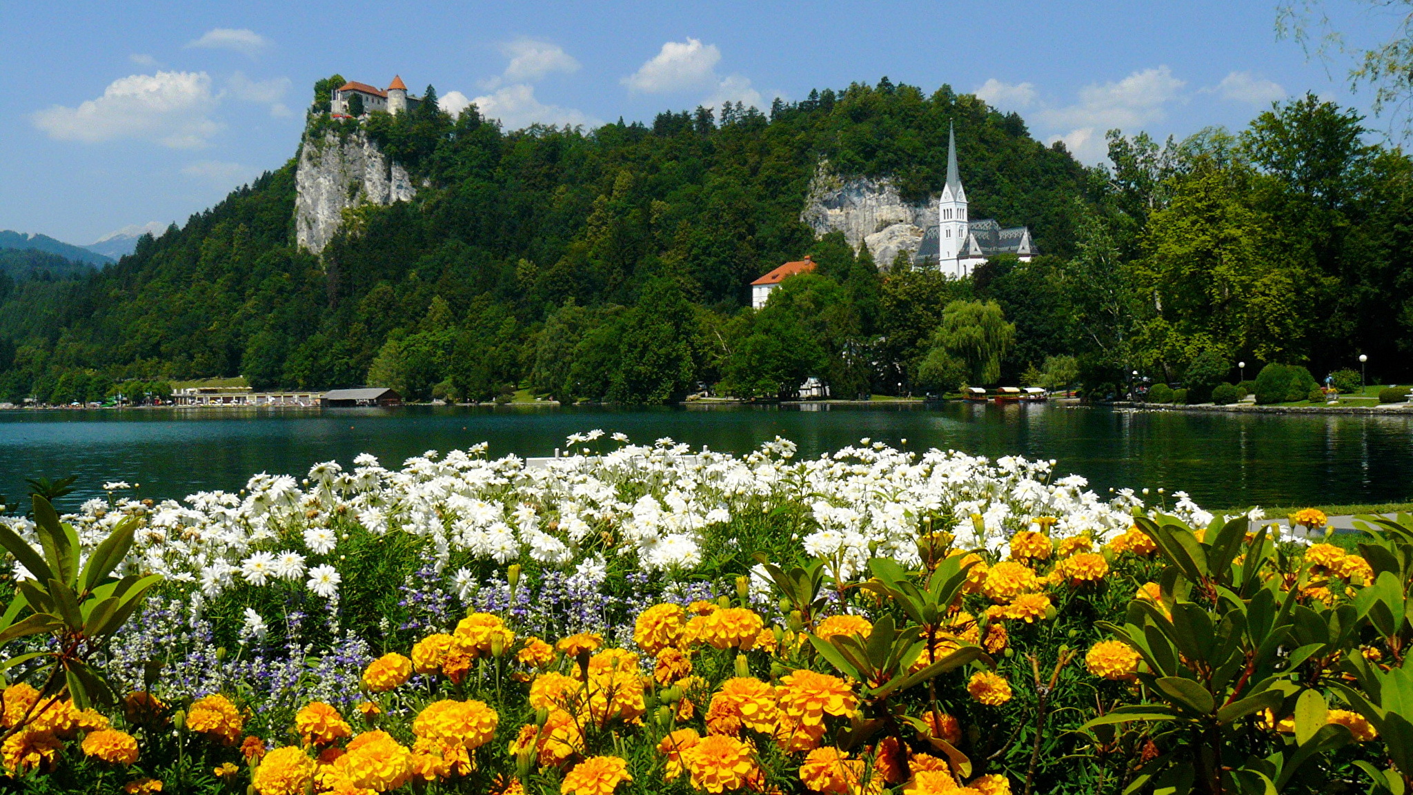 Картинки природы города. Озеро Bled Словения. Город Блед Словения парки города. Альпийские Луга Германии. Словения Альпы.