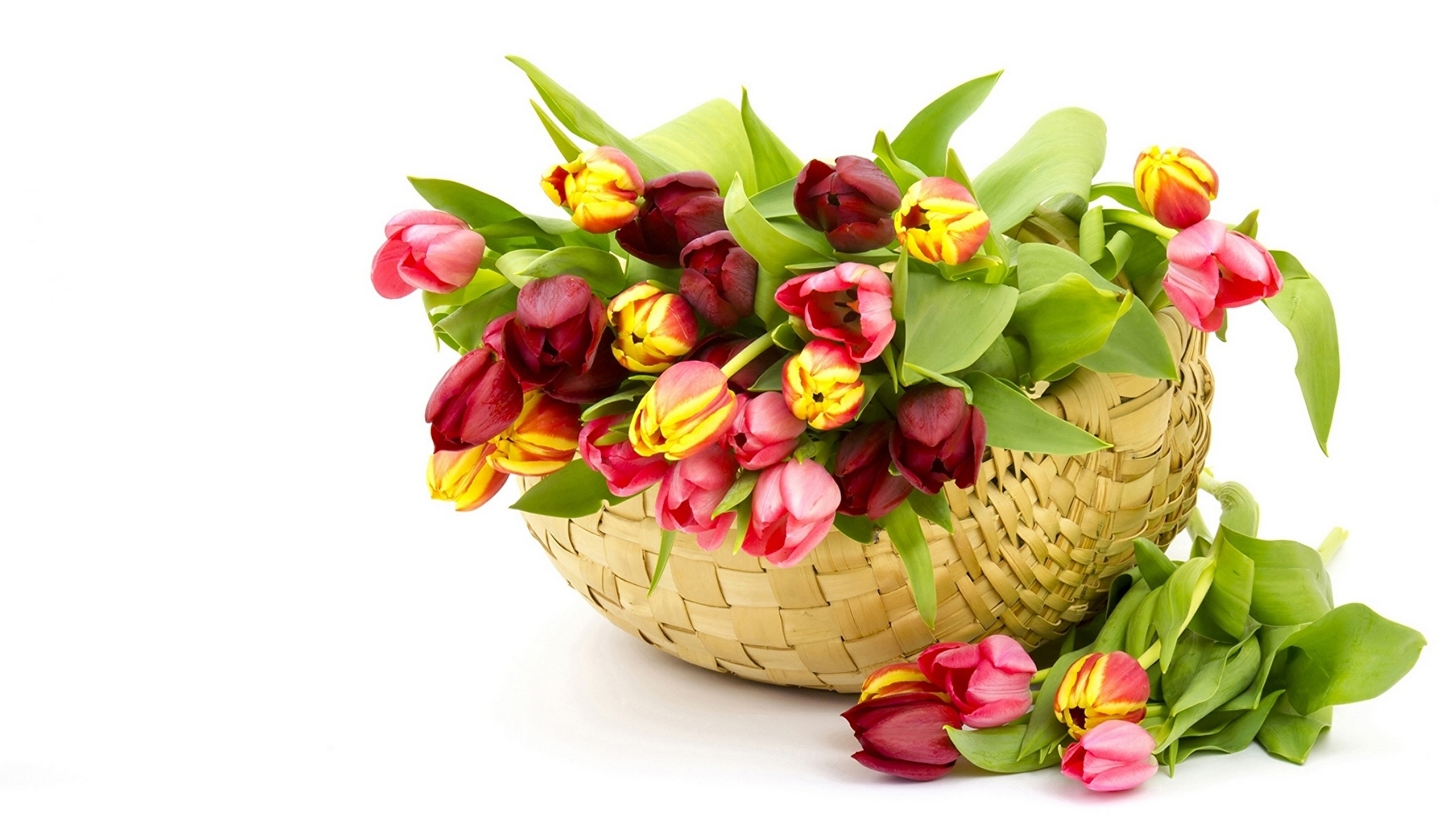 Тюльпаны в корзине картинки. Корзина с цветами. Корзина с тюльпанами. Корзинка с весенними цветами. Корзина цветов «Весенняя».