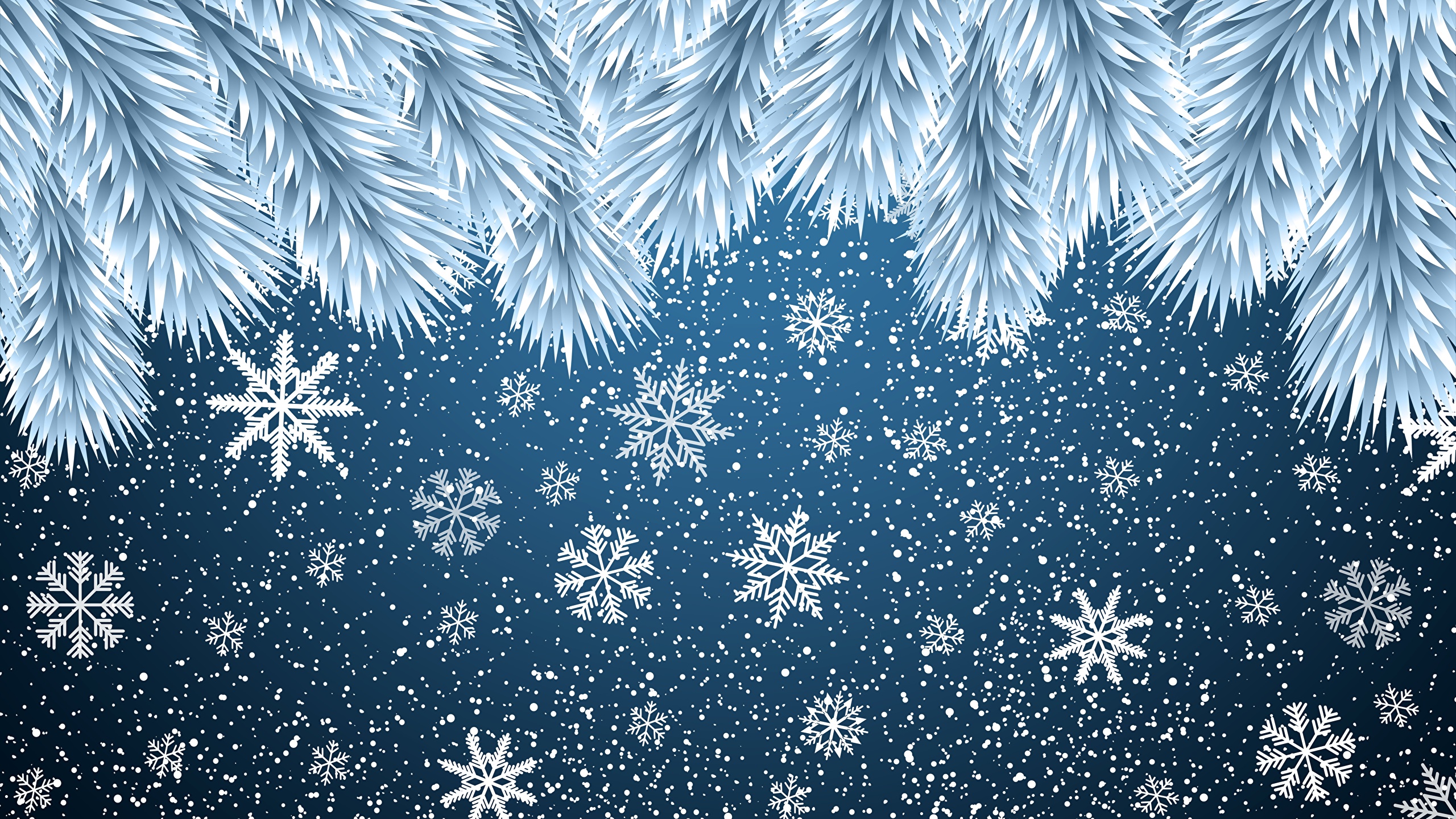 壁紙 2560x1440 新年 雪の結晶 ダウンロード 写真