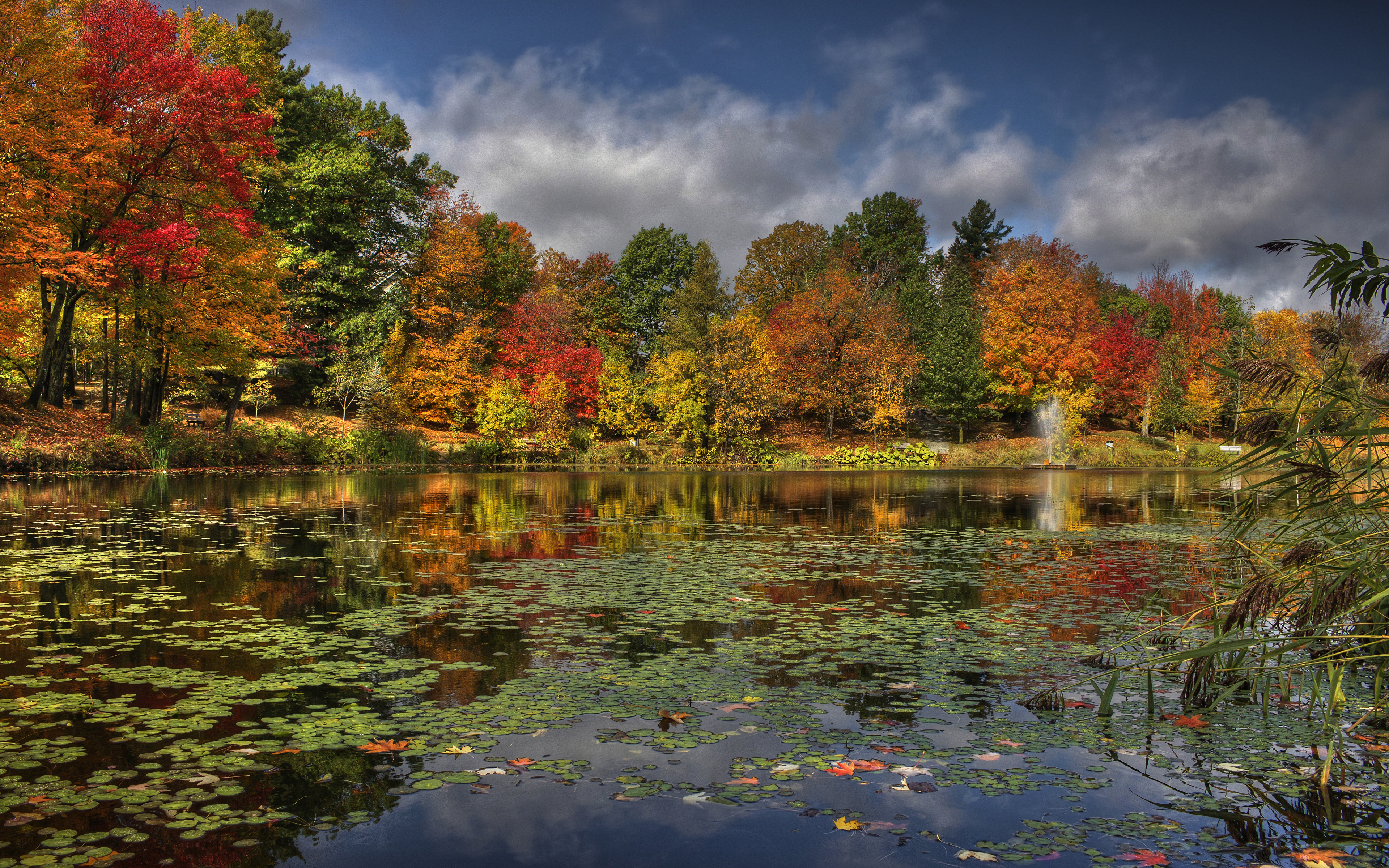 Picture Quebec Canada Sherbrooke Autumn Nature River Trees 3840x2400