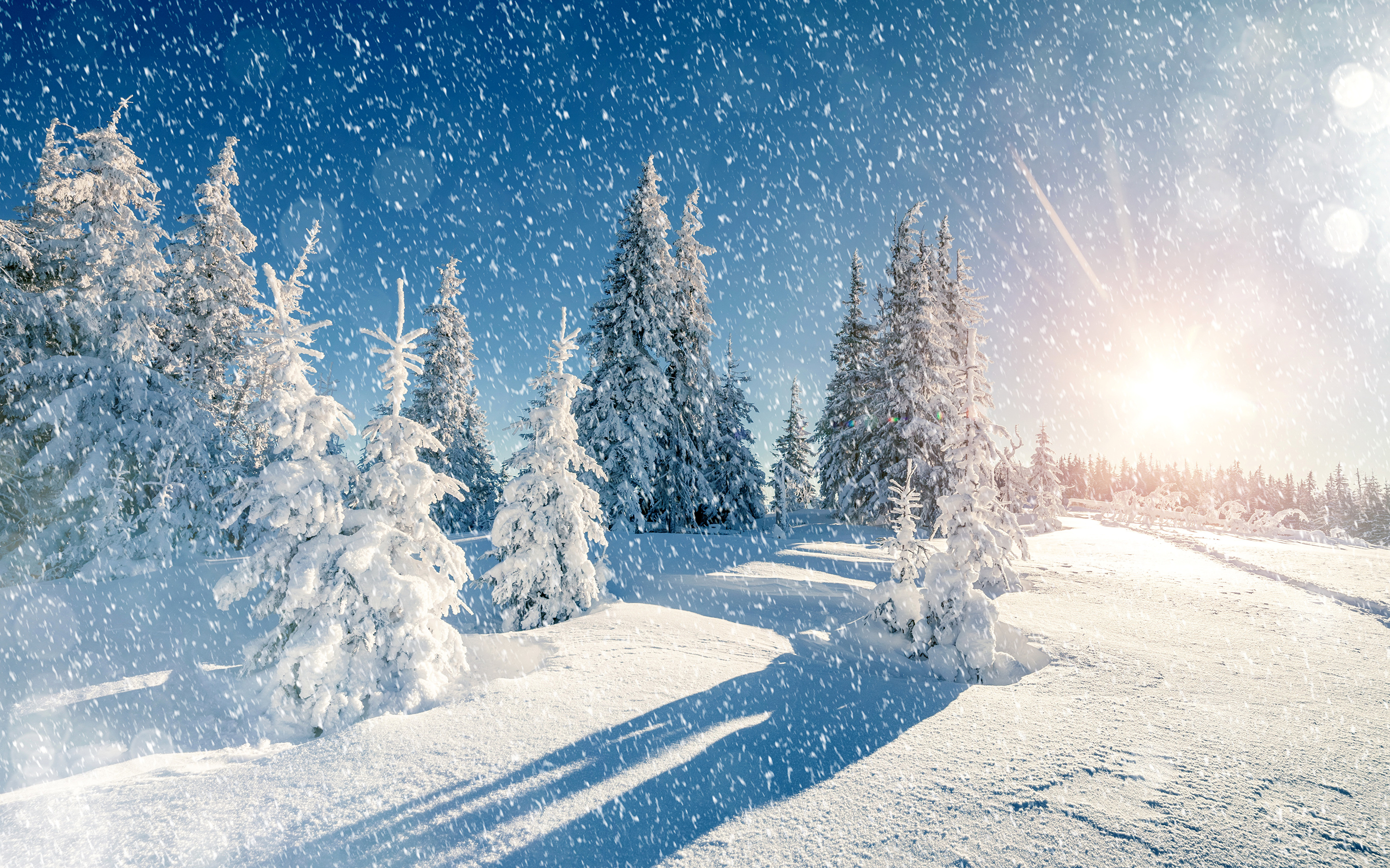 Desktop Hintergrundbilder Natur Winter Fichten 3840x2400