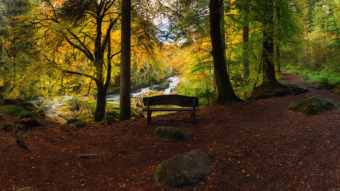 Desktop Wallpapers Leaf Scotland Dunkeld Perthshire Nature 1366x768