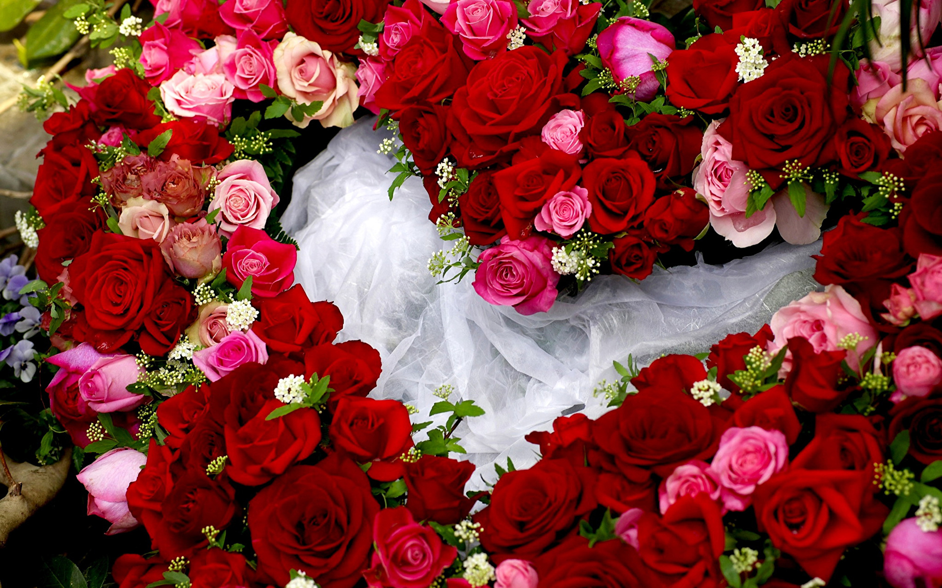 Fondos de Pantalla 1920x1200 Rosas Muchas Corazón Flores descargar imagenes