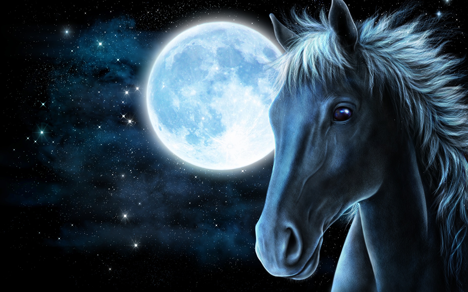 Bilder Hästar Månen Natt Djur Huvud Målade 1920x1200 häst tamhäst på natten