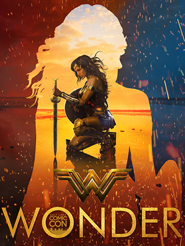 Wallpaper Wonder Woman (2017 film) Gal Gadot Swords Wonder 600x800