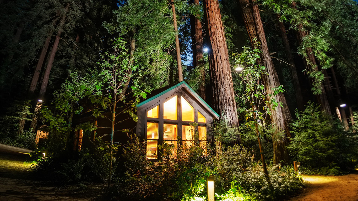 Fondos de Pantalla 1366x768 Bosques Casa Noche árboles Naturaleza descargar  imagenes